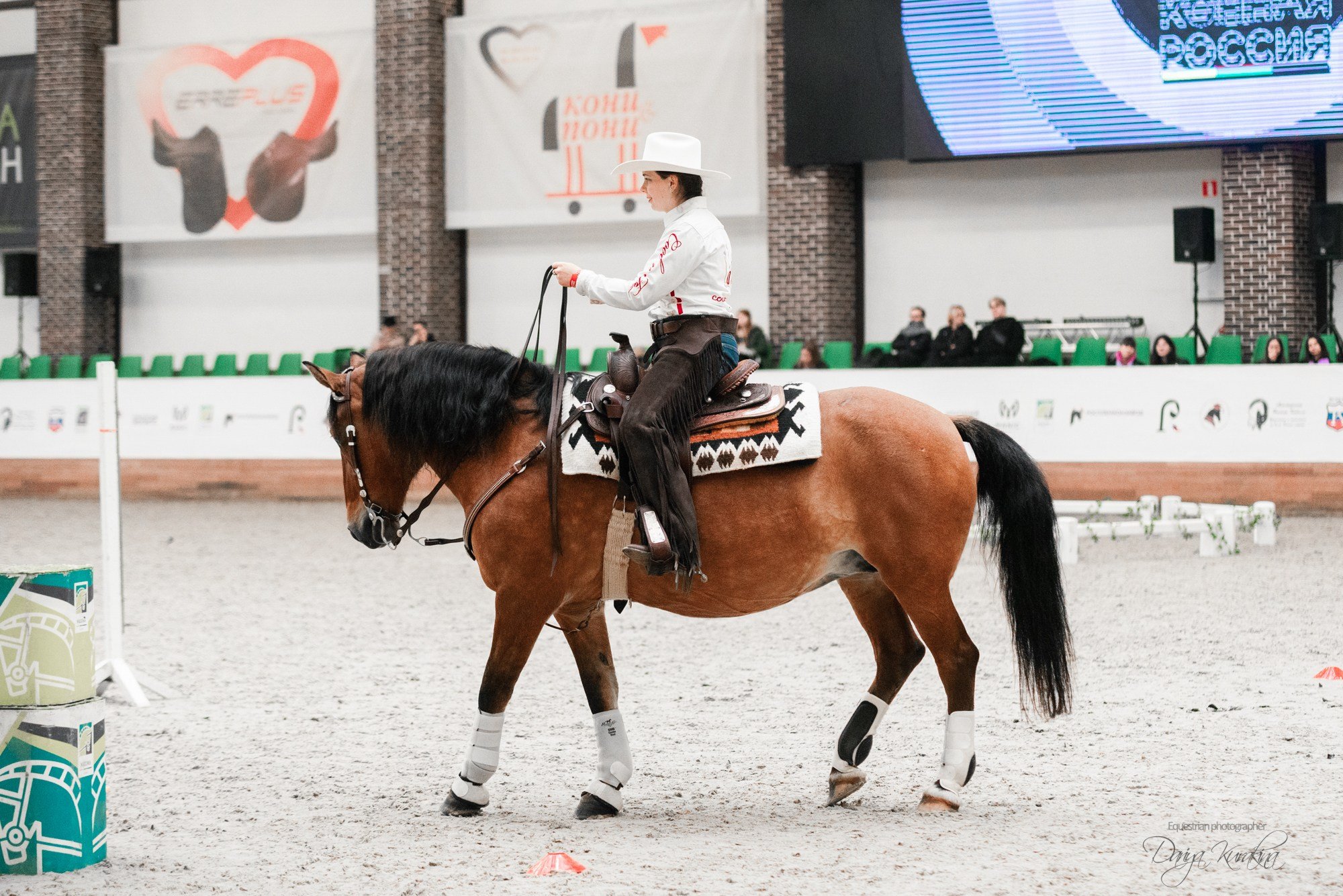8-я международная выставка Конная Россия. Конный фотограф Куракина Дарья • Фотосессии с лошадьми