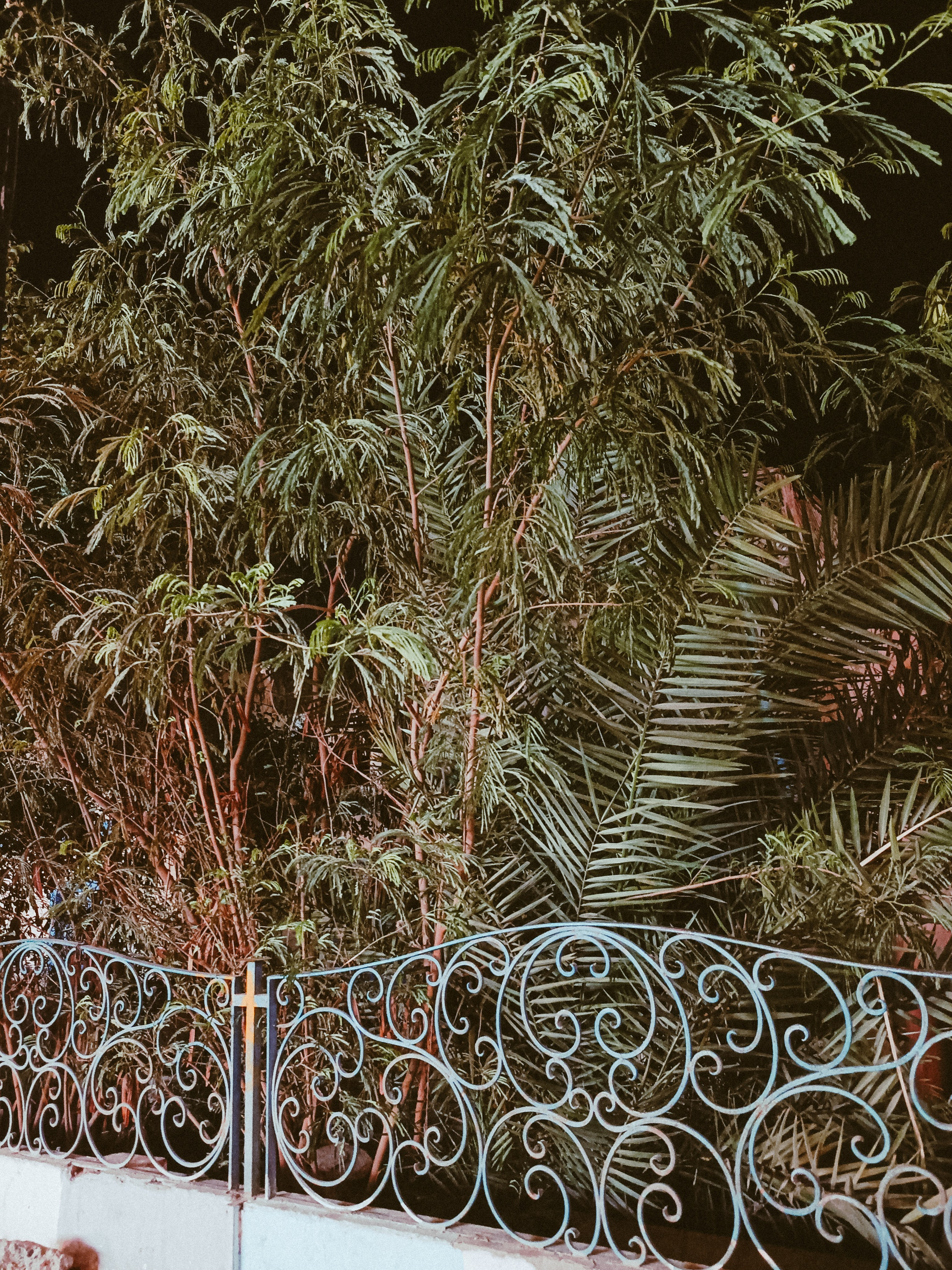 Мобильная. Jorgis — фотограф в Хургаде / обучение фотографии