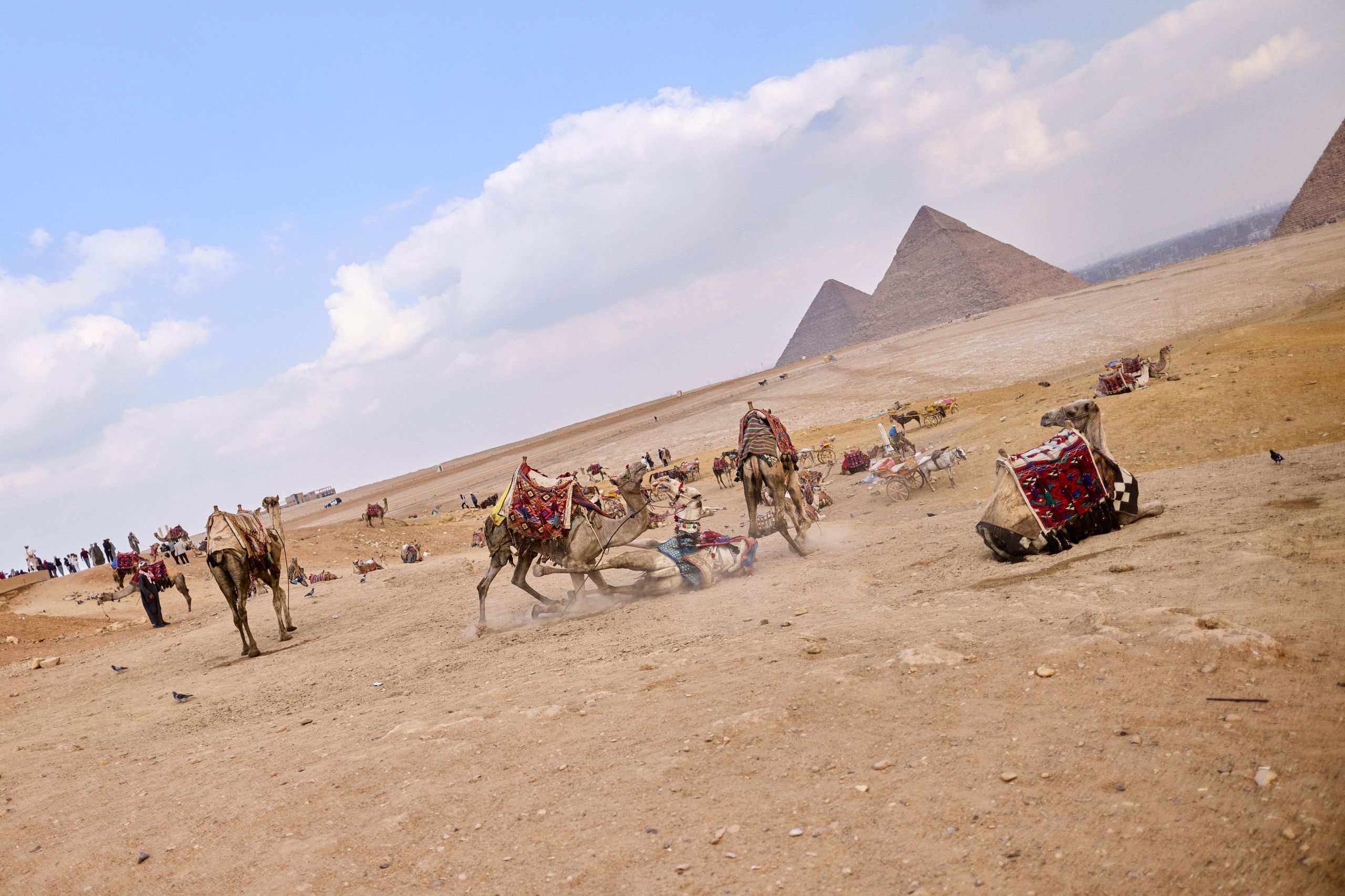 Другое 4. Jorgis — фотограф в Хургаде / обучение фотографии