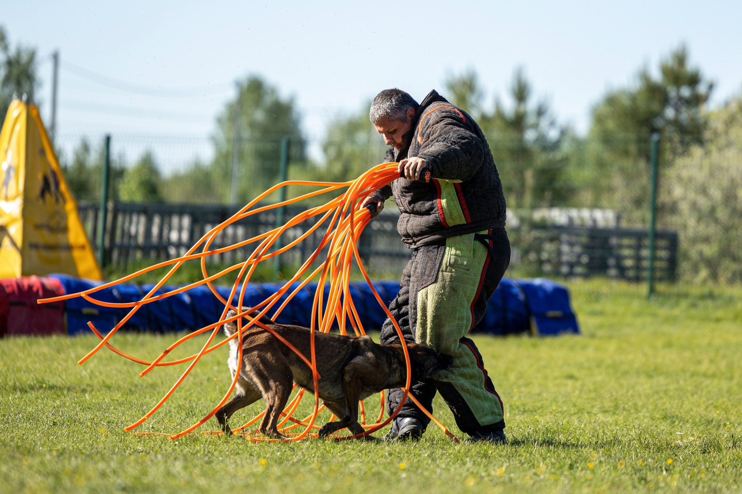 Испытания по мондьорингу в Нижнем Новгороде. Фотограф-анималист Анна Маринич
