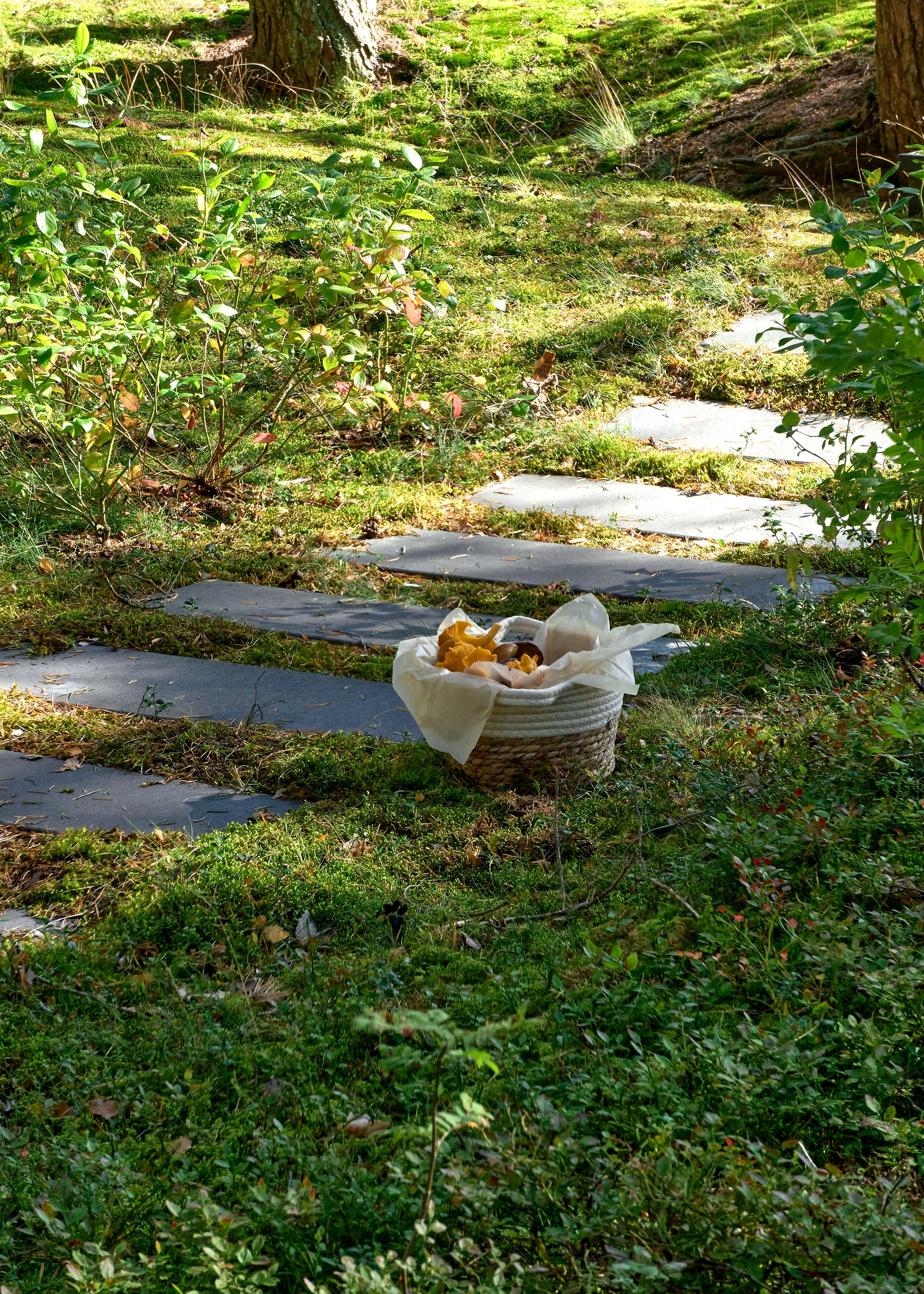 Ландшафтный и интерьерный фотограф Наталья Соловьева. Фотосъемка сада в КП Золотые пески для ландшафтной компании Хвоя | interioto