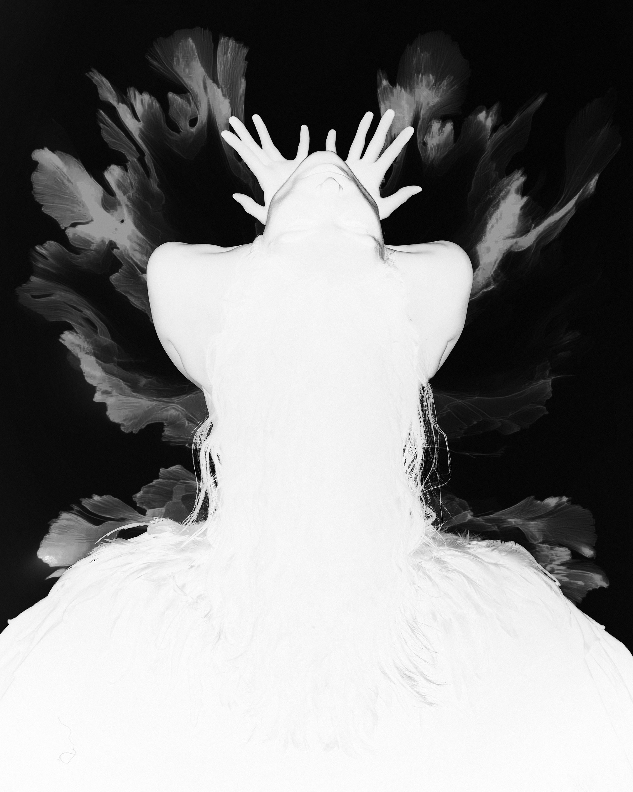 Bird. ГЛАВНАЯ