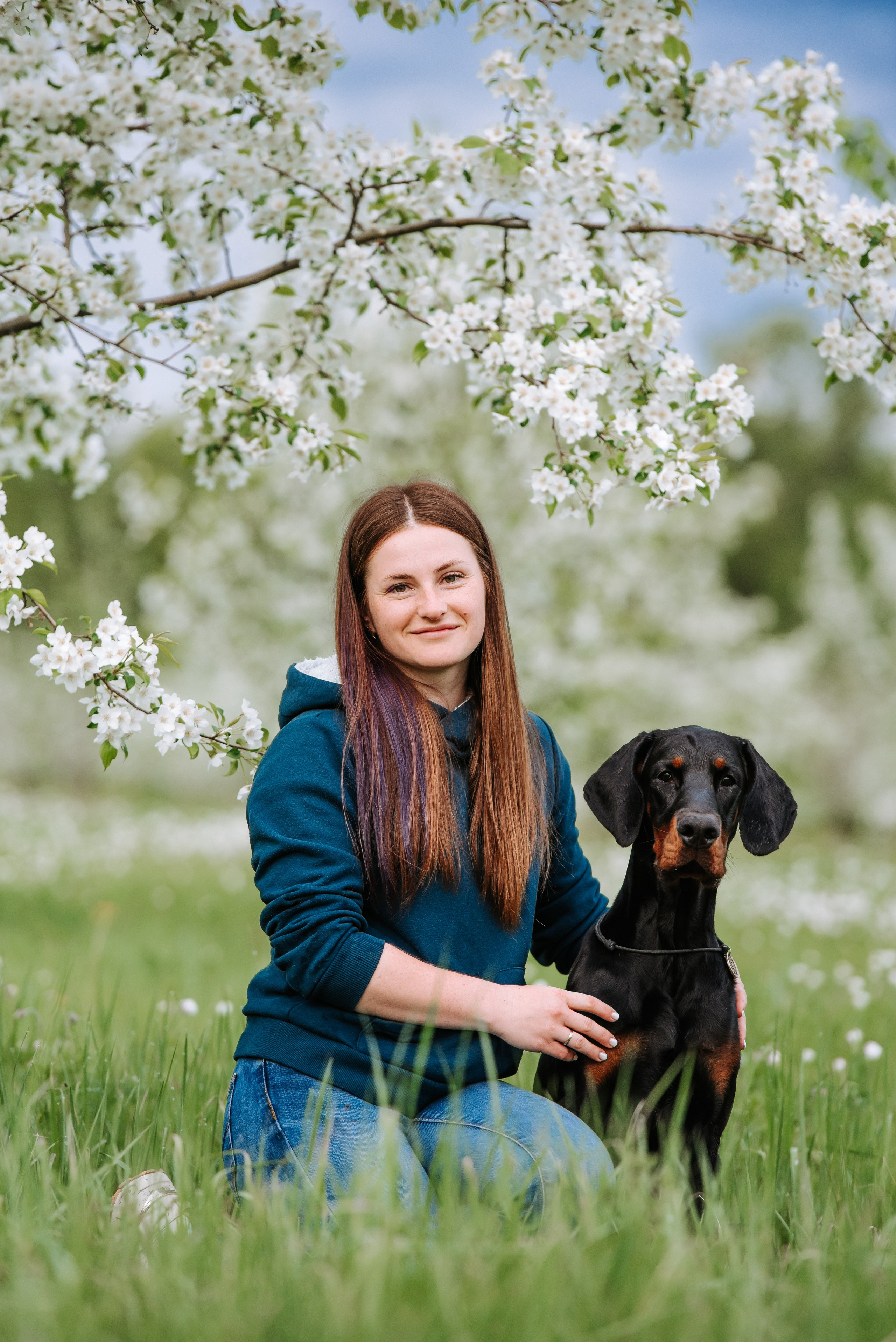 Цветение с доберманами. Фотограф Диана Оленина Красноярск / Братск