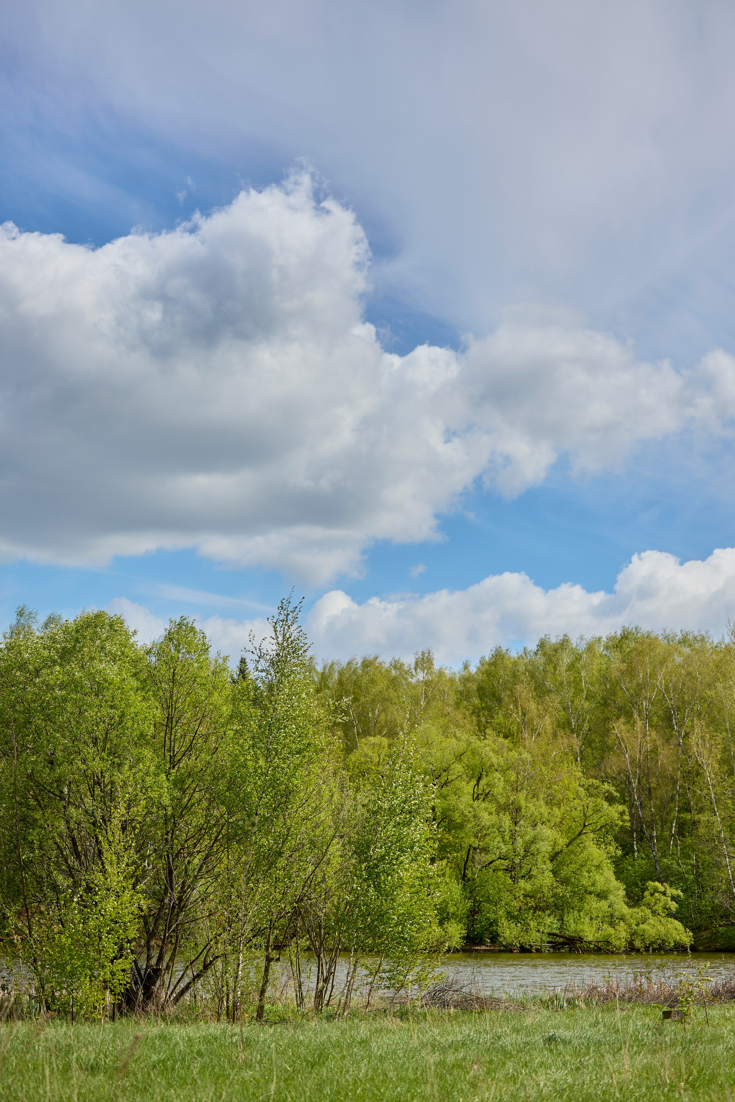 Флора. Виктория Ахмылова. Фотограф в Москве