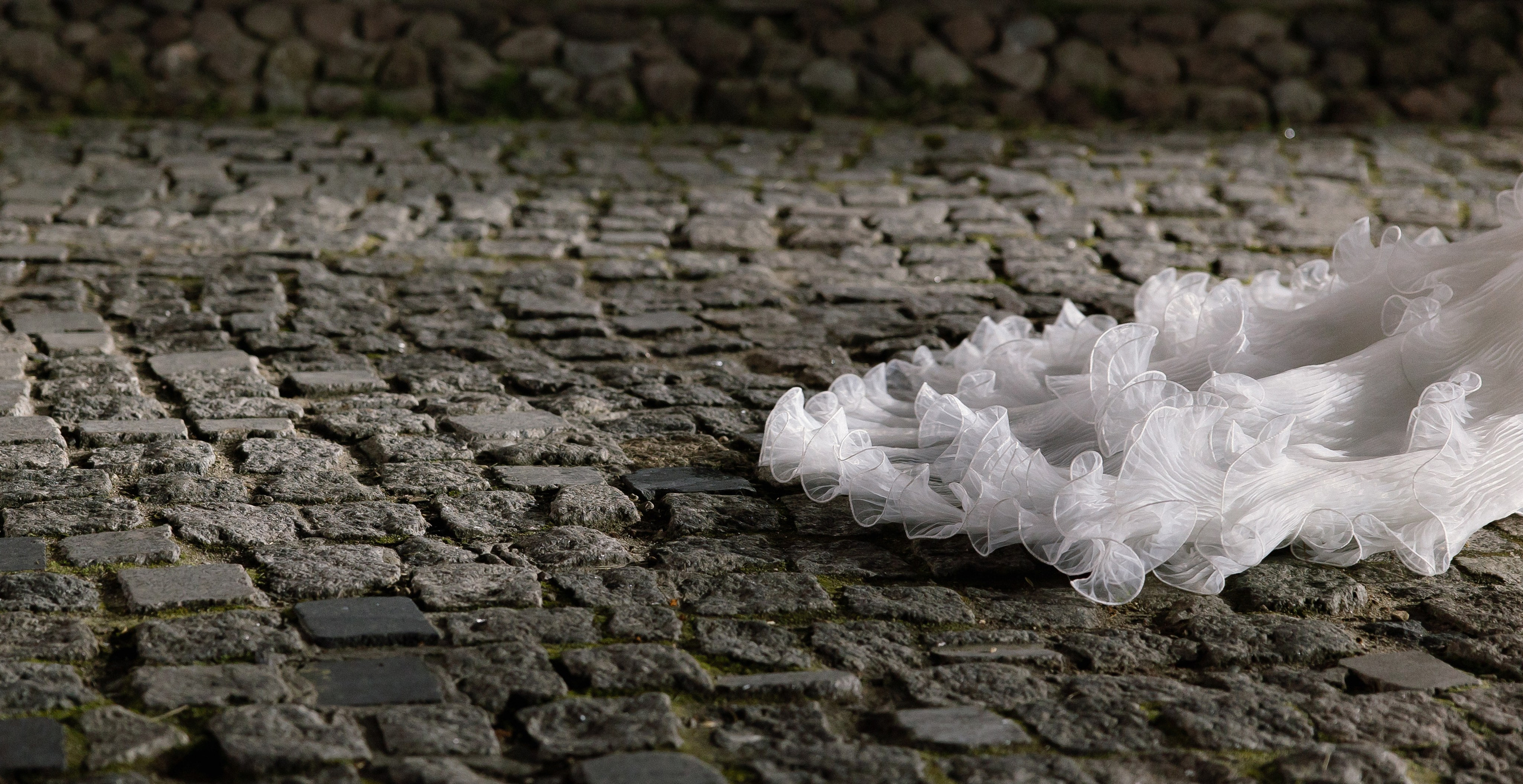 Rara Avis Fashion Show 2025. Свадебный фотограф Москва и Санкт-Петерург Артем Мамонов