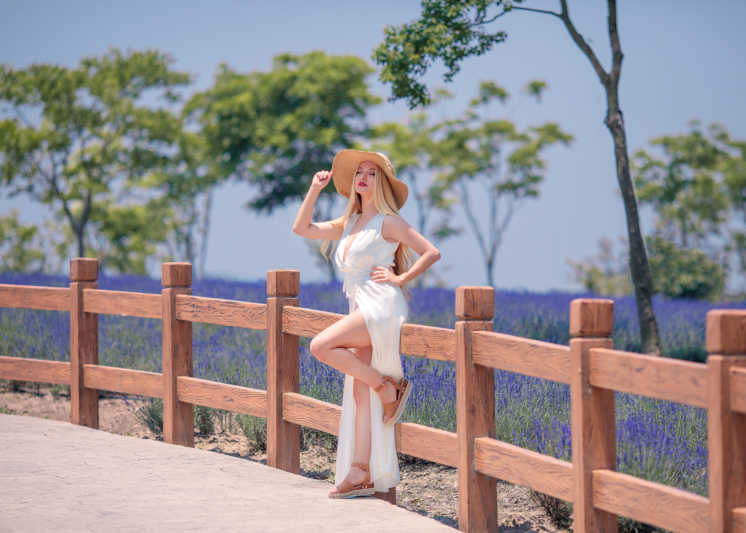 Лавандовые поля. Свадебные видео