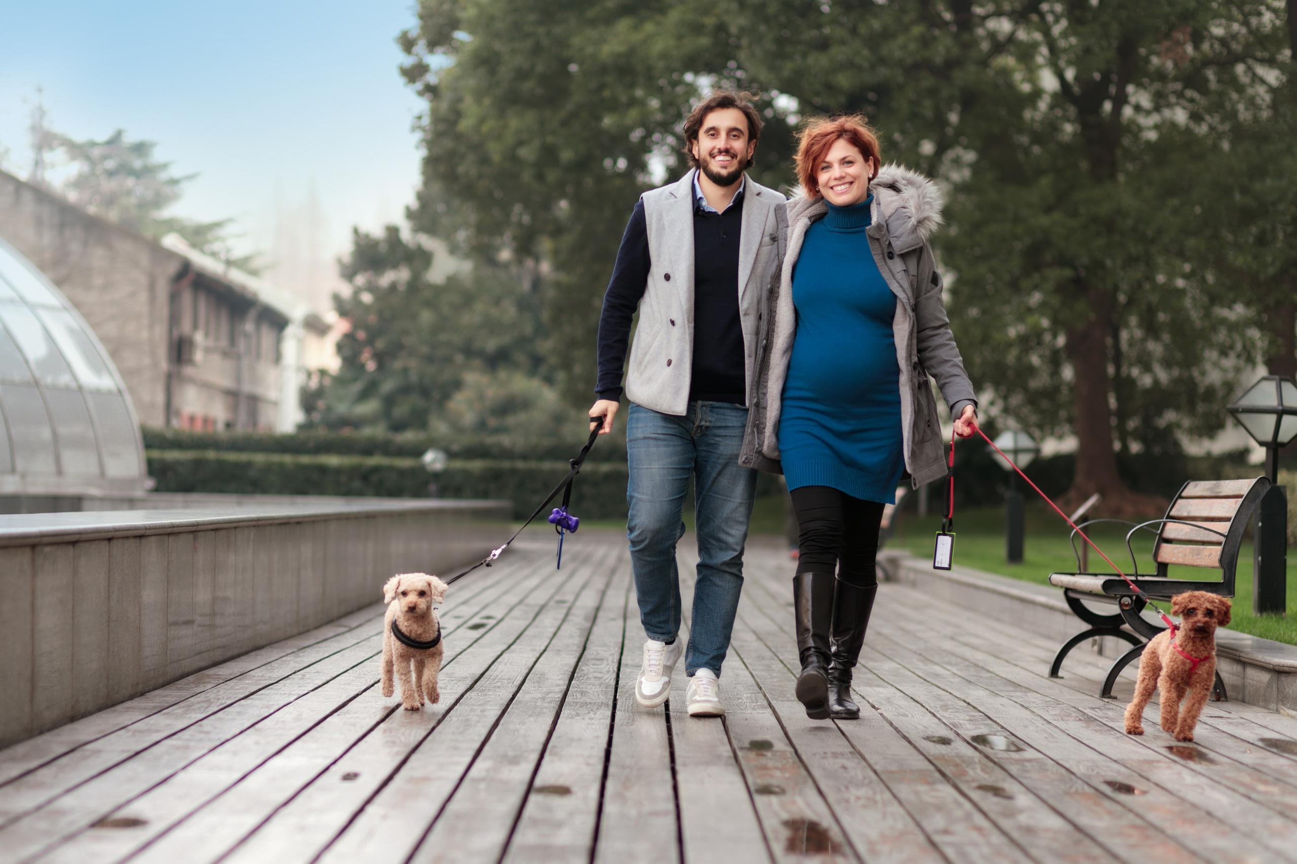 Беременность, прогулка в городе + дома. Свадебные видео