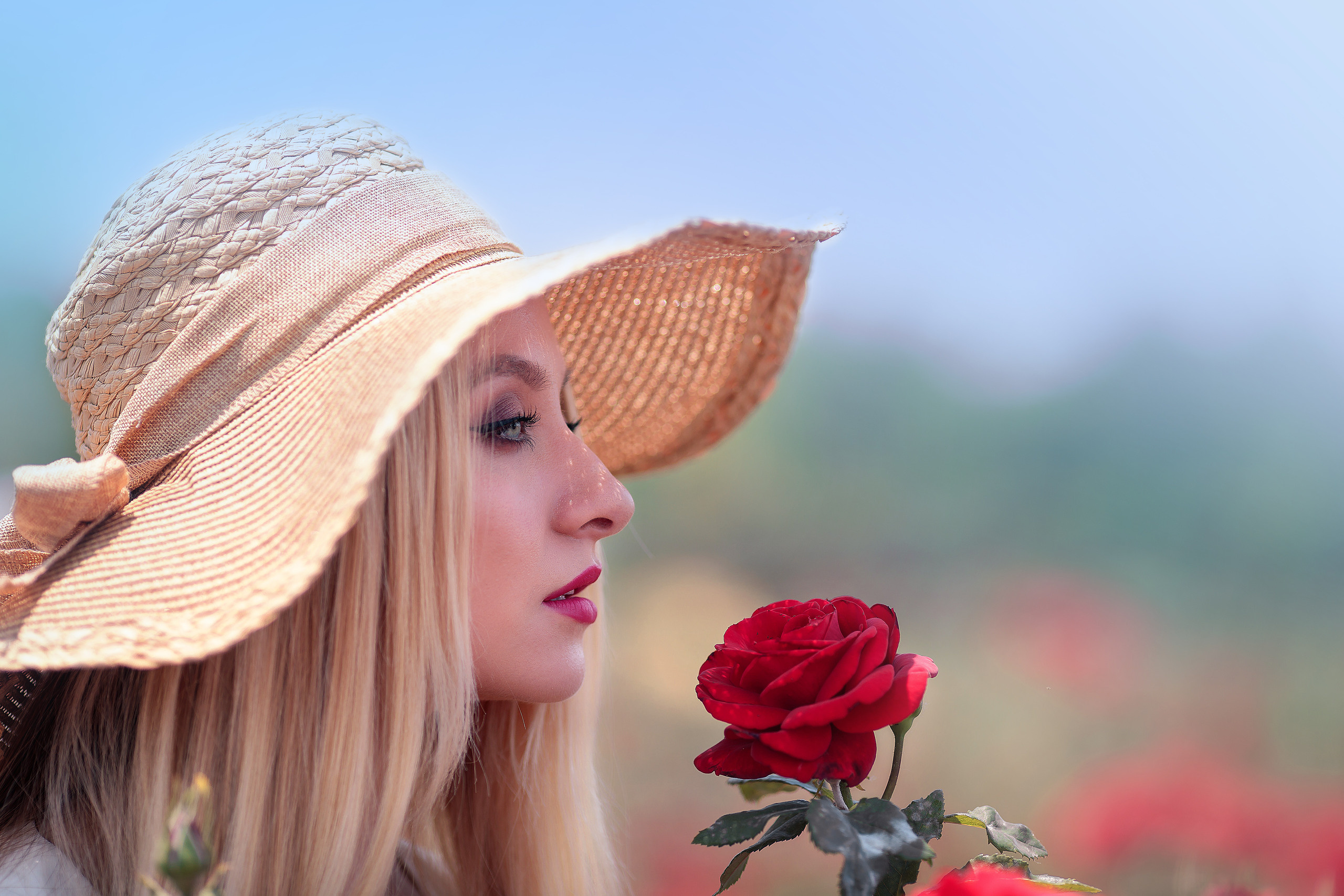 Лавандовые поля. Свадебные видео