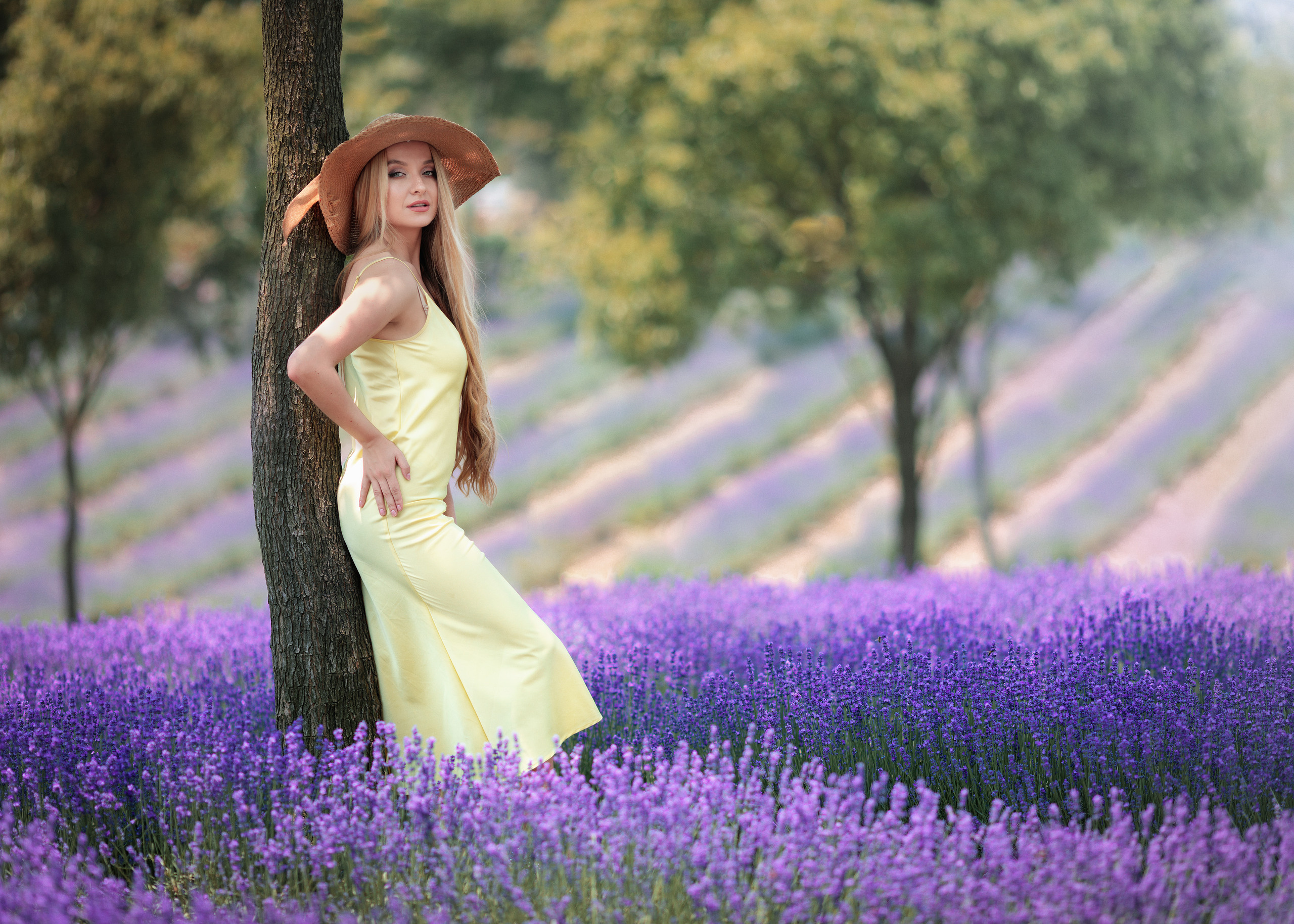 Лавандовые поля. Свадебные видео