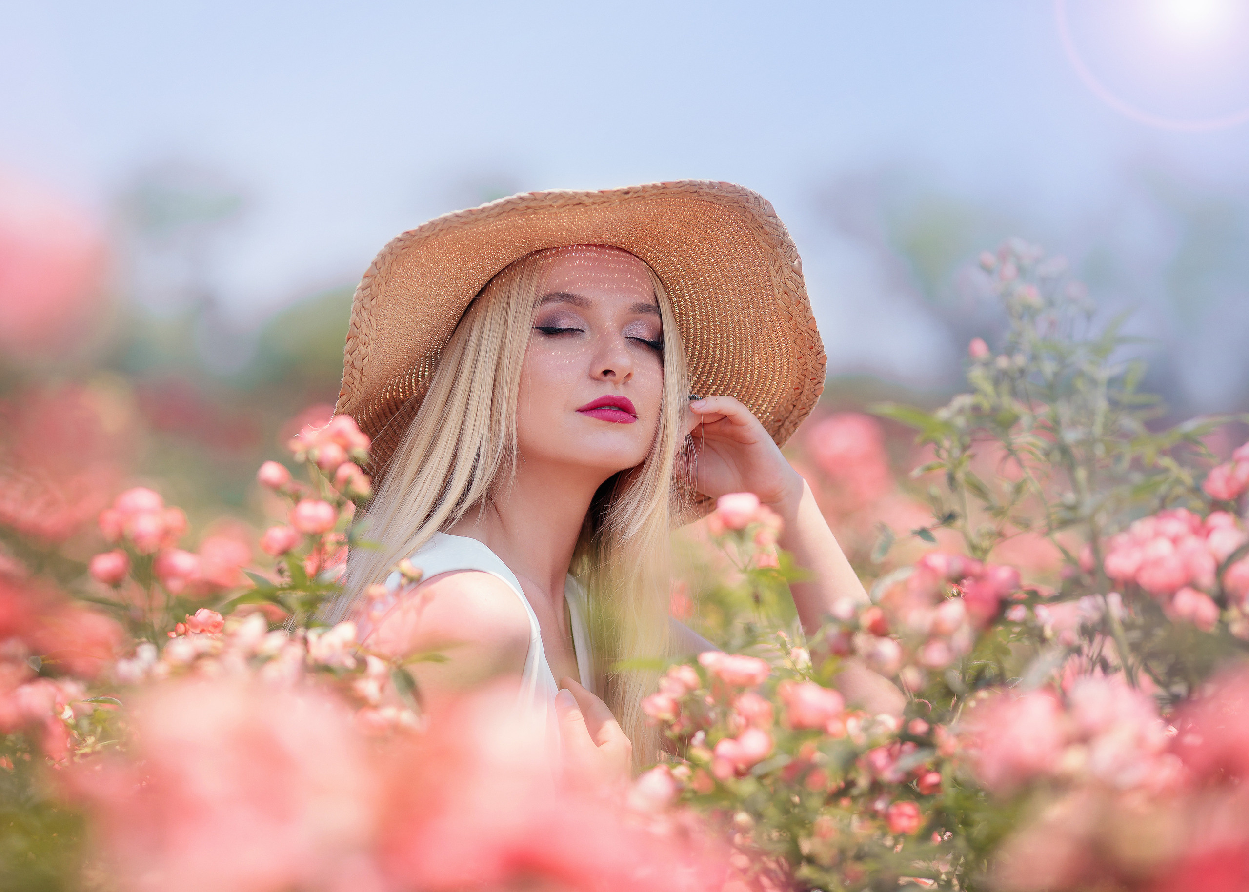 Лавандовые поля. Свадебные видео