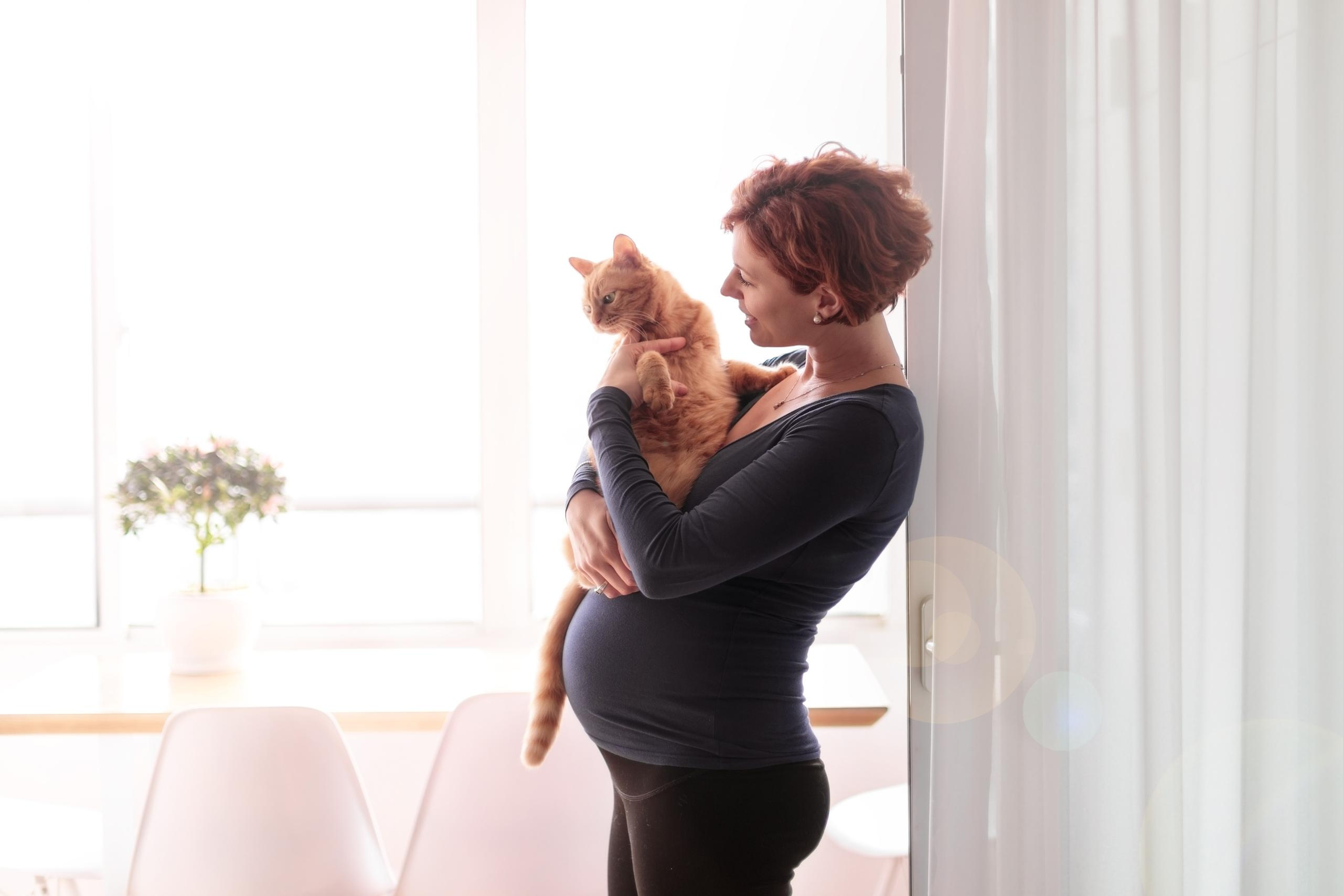 Беременность, прогулка в городе + дома. Свадебные видео