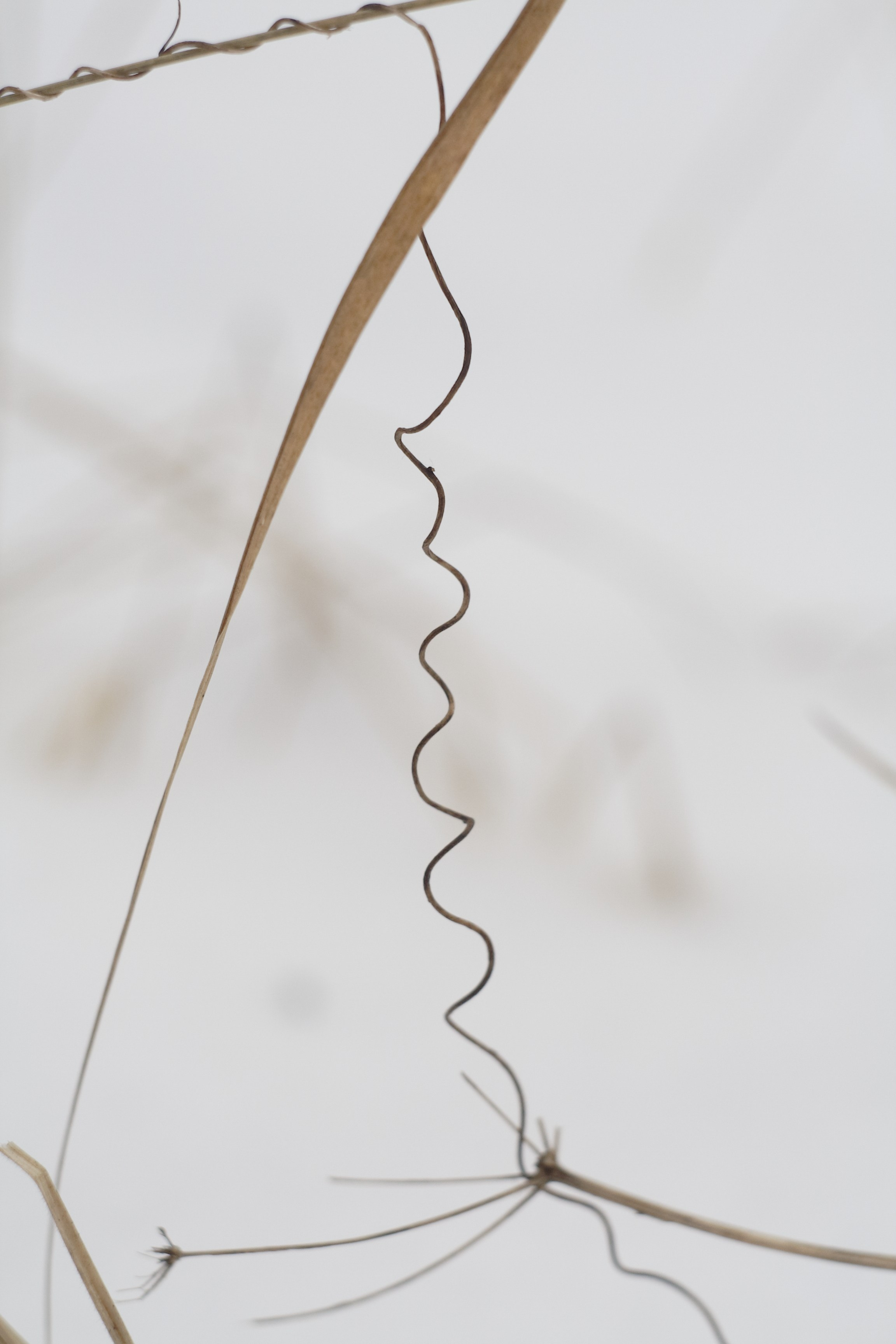 Старое природное, отбирала Katamount (Катерина Горохова). Главная