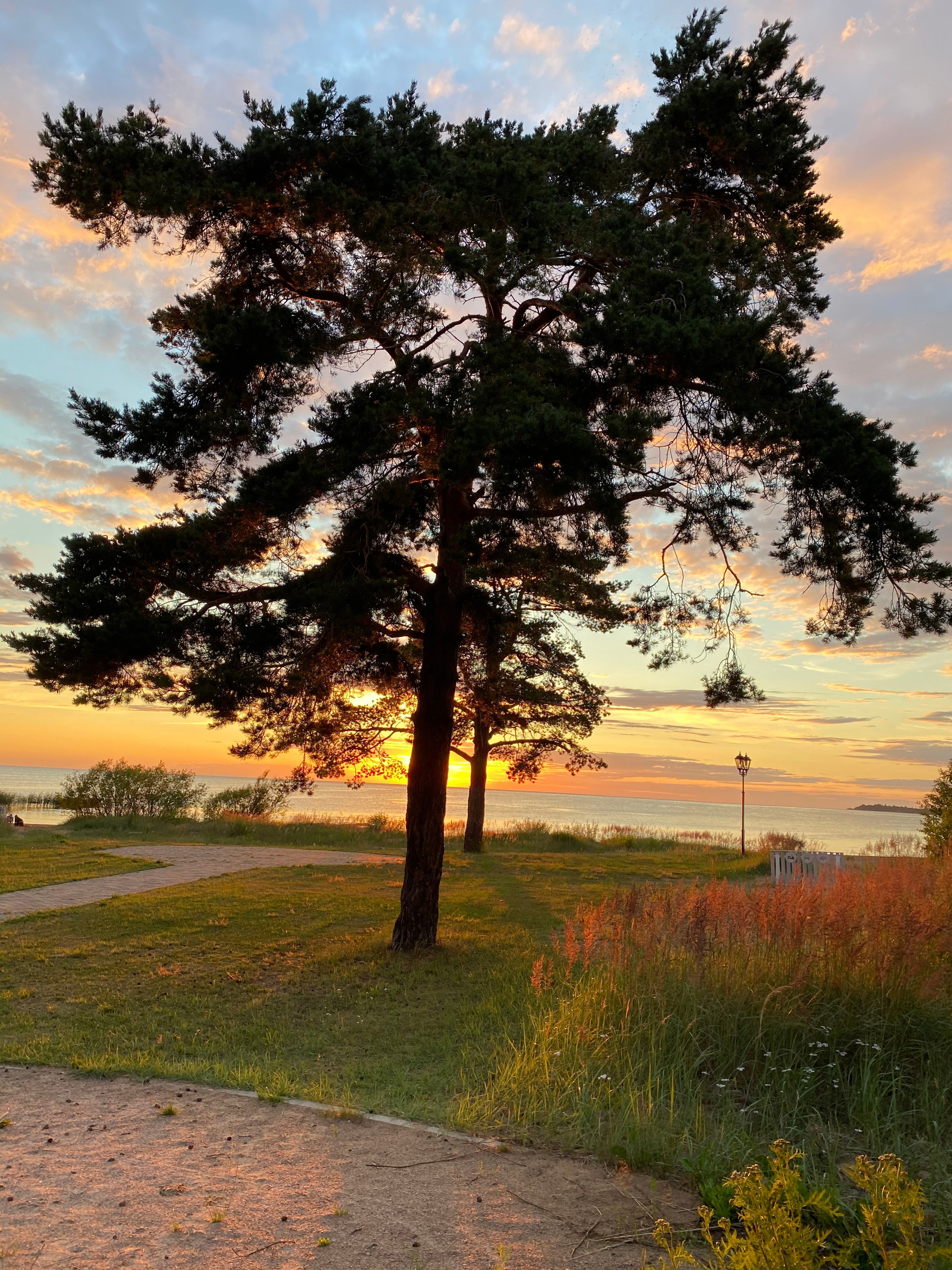 Териберка — 20. Своя Мастерская