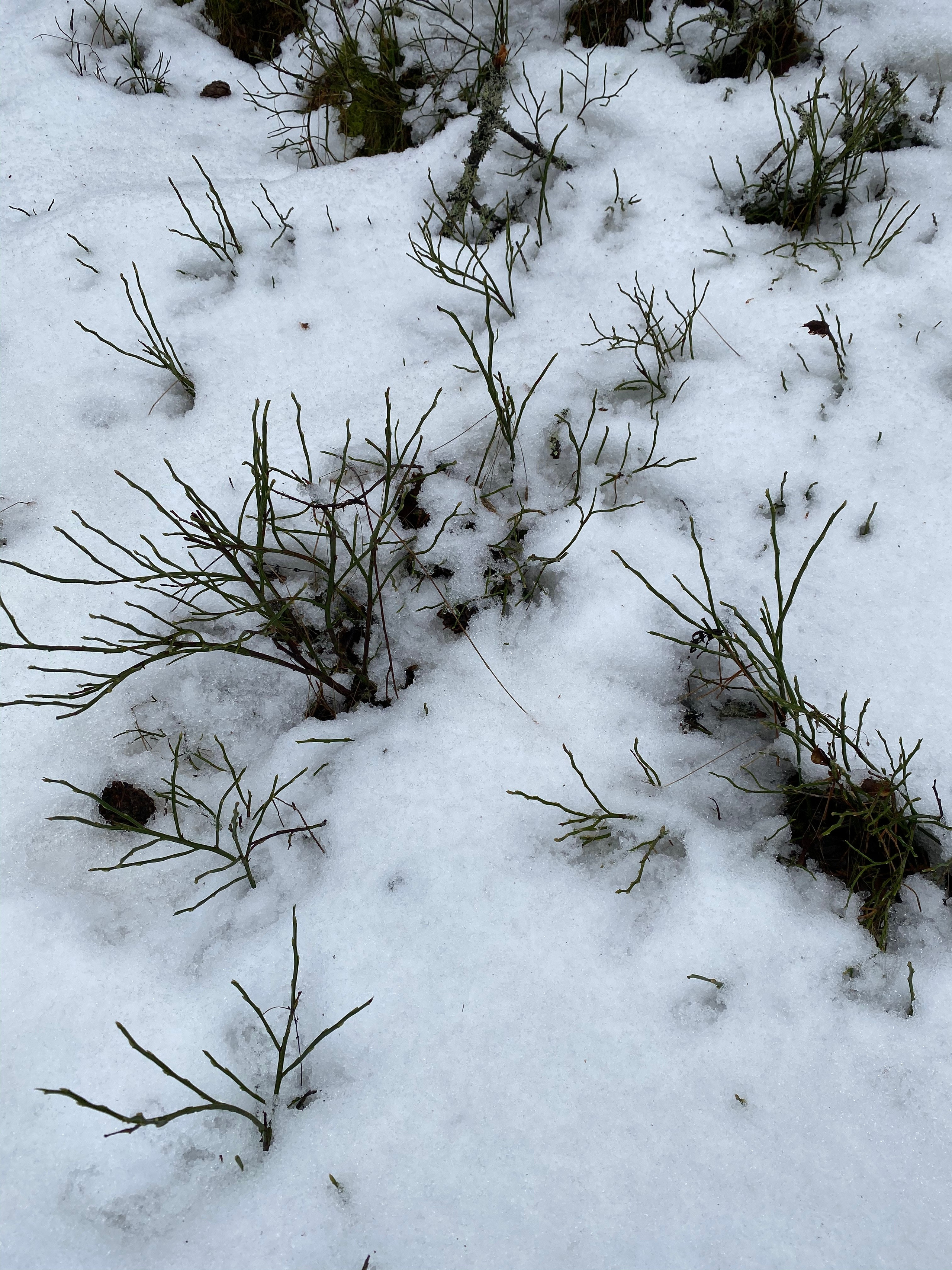 Вокруг Селигера-20. Своя Мастерская