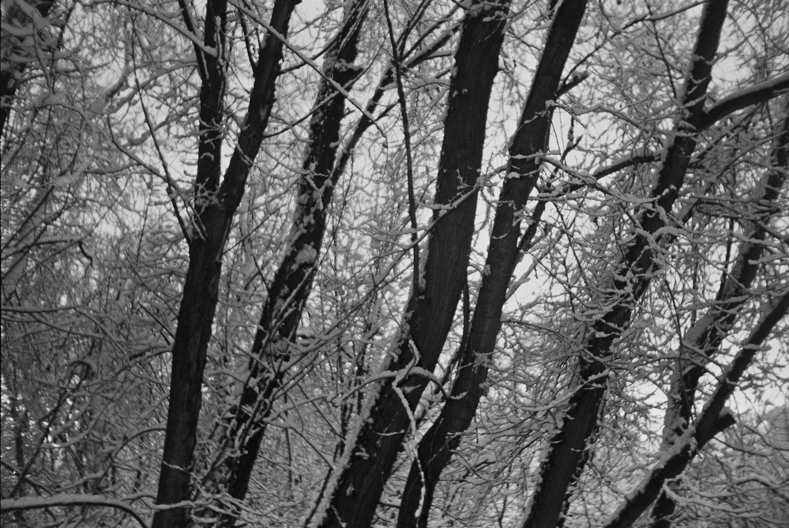 Плёночные воспоминания. Портретный и коллажный фотограф из Москвы