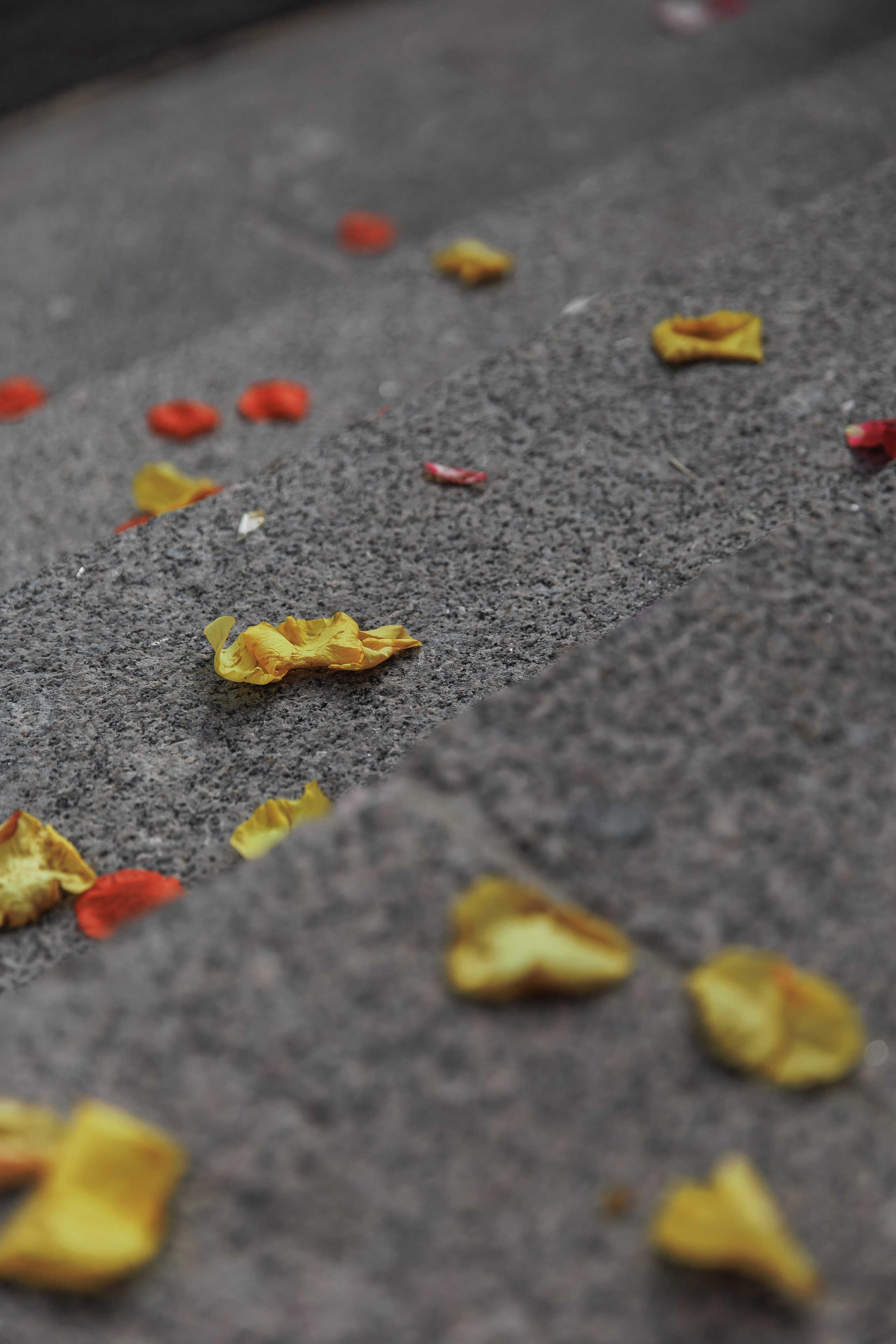 Всеволод и Настя. Свадебный и семейный фотограф в Санкт-Петербурге Кирилл Шалагинов
