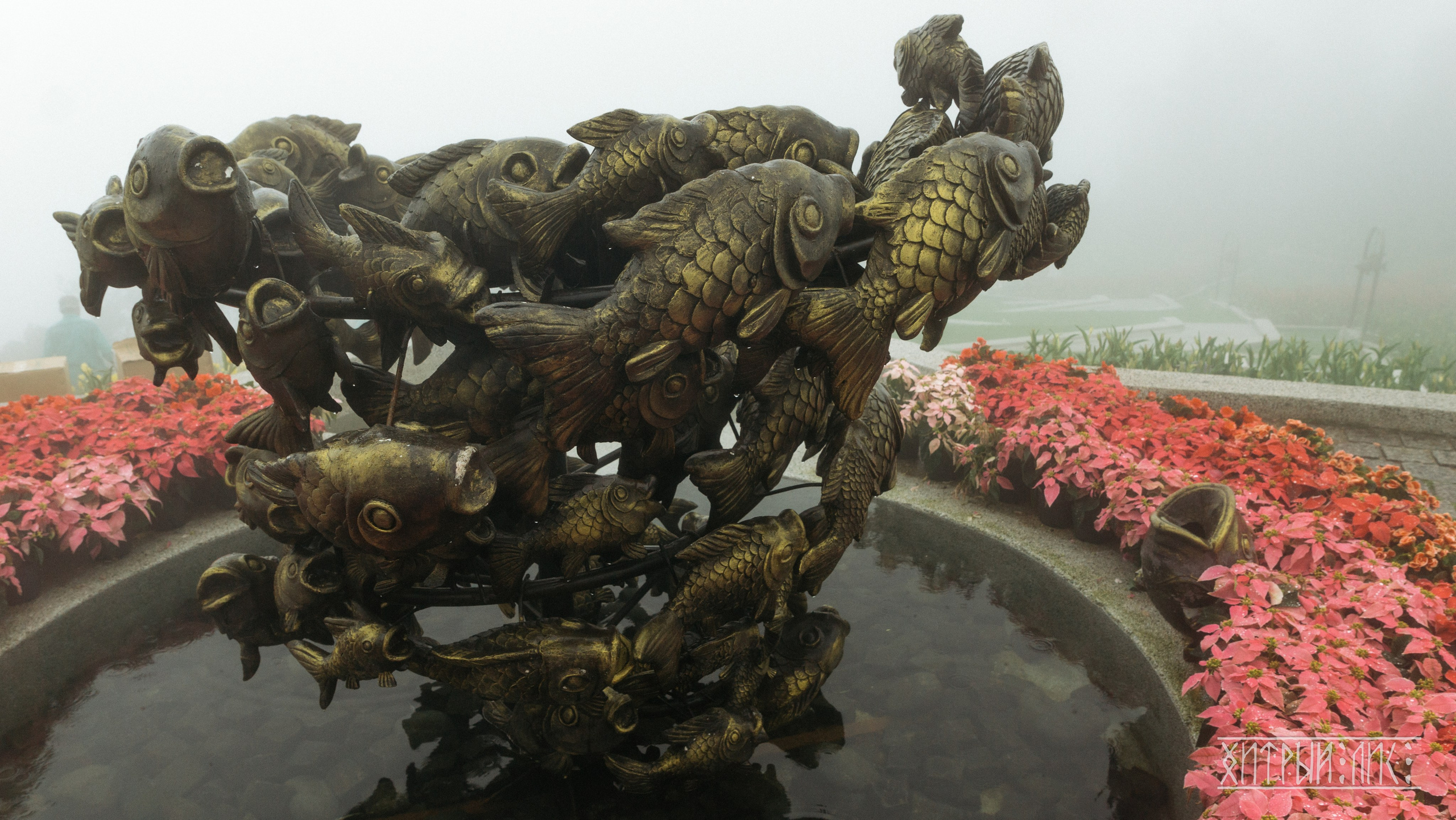 Вьетнам. Фотограф-путешественник Самойлов Максим «Sly Fox»