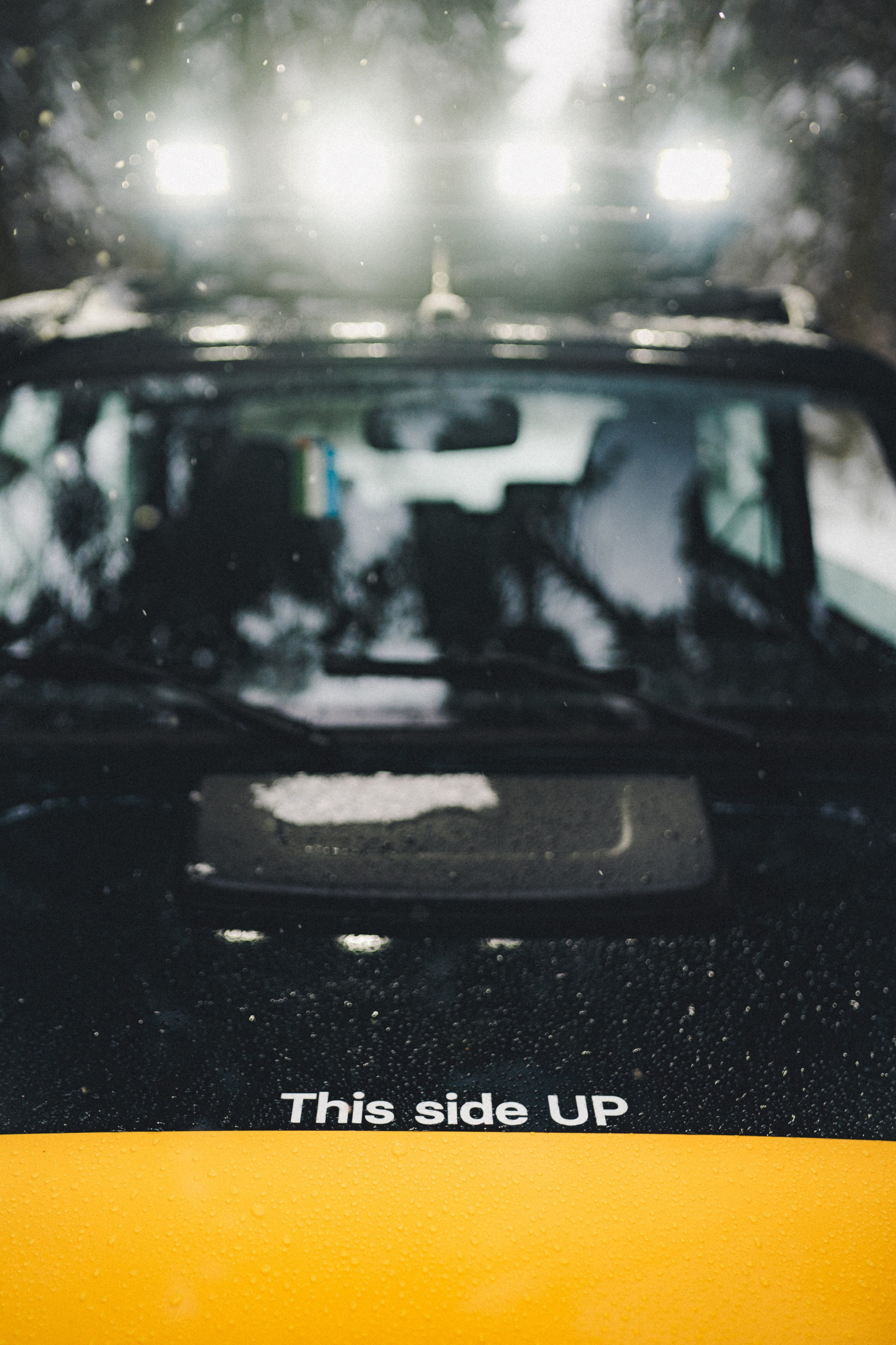 Niva Bronto (Nessie) x FAUNO. Фотограф Илья К. в Москве