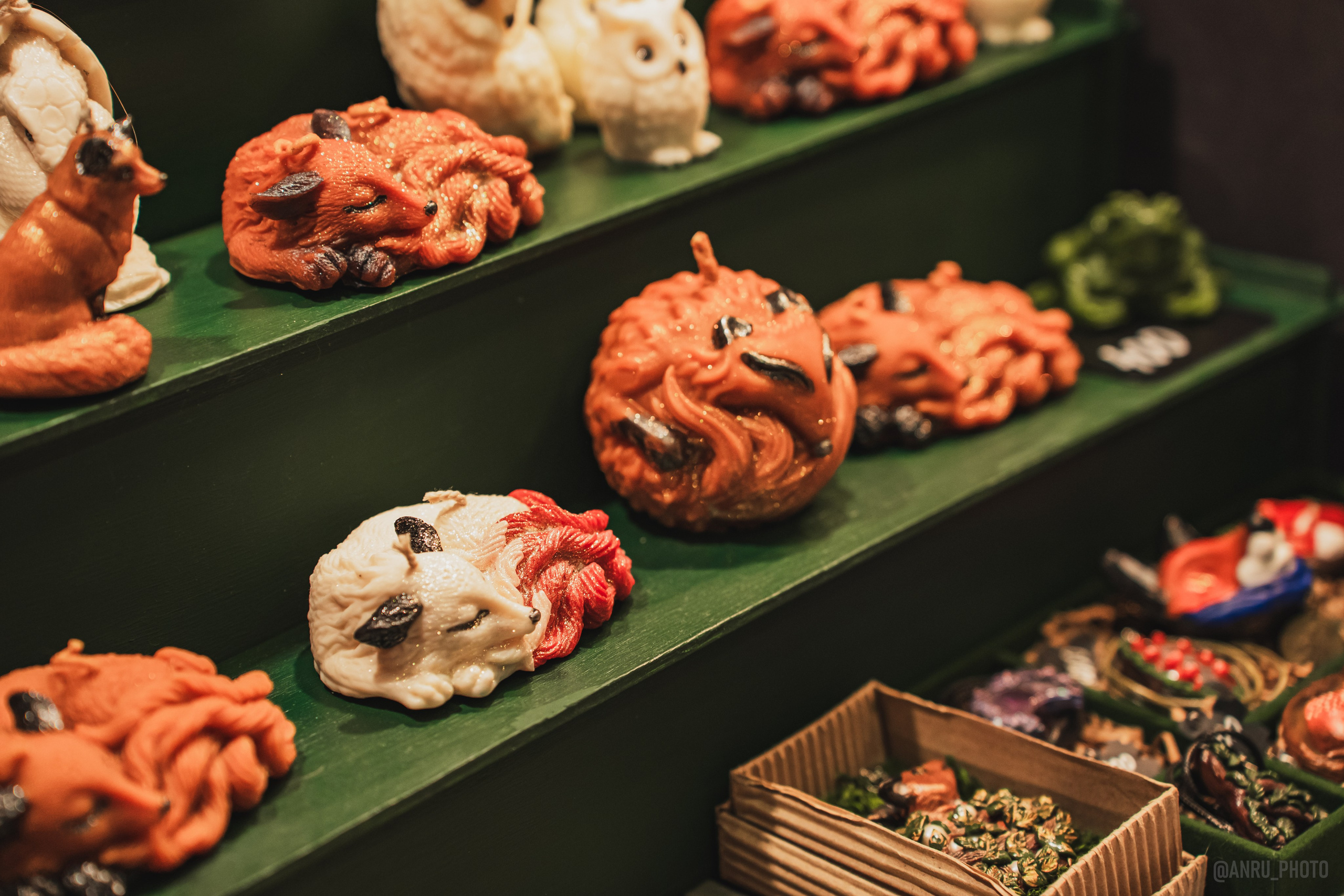 Fox Family fest. Репортажный фотограф Анастасия Рубцова