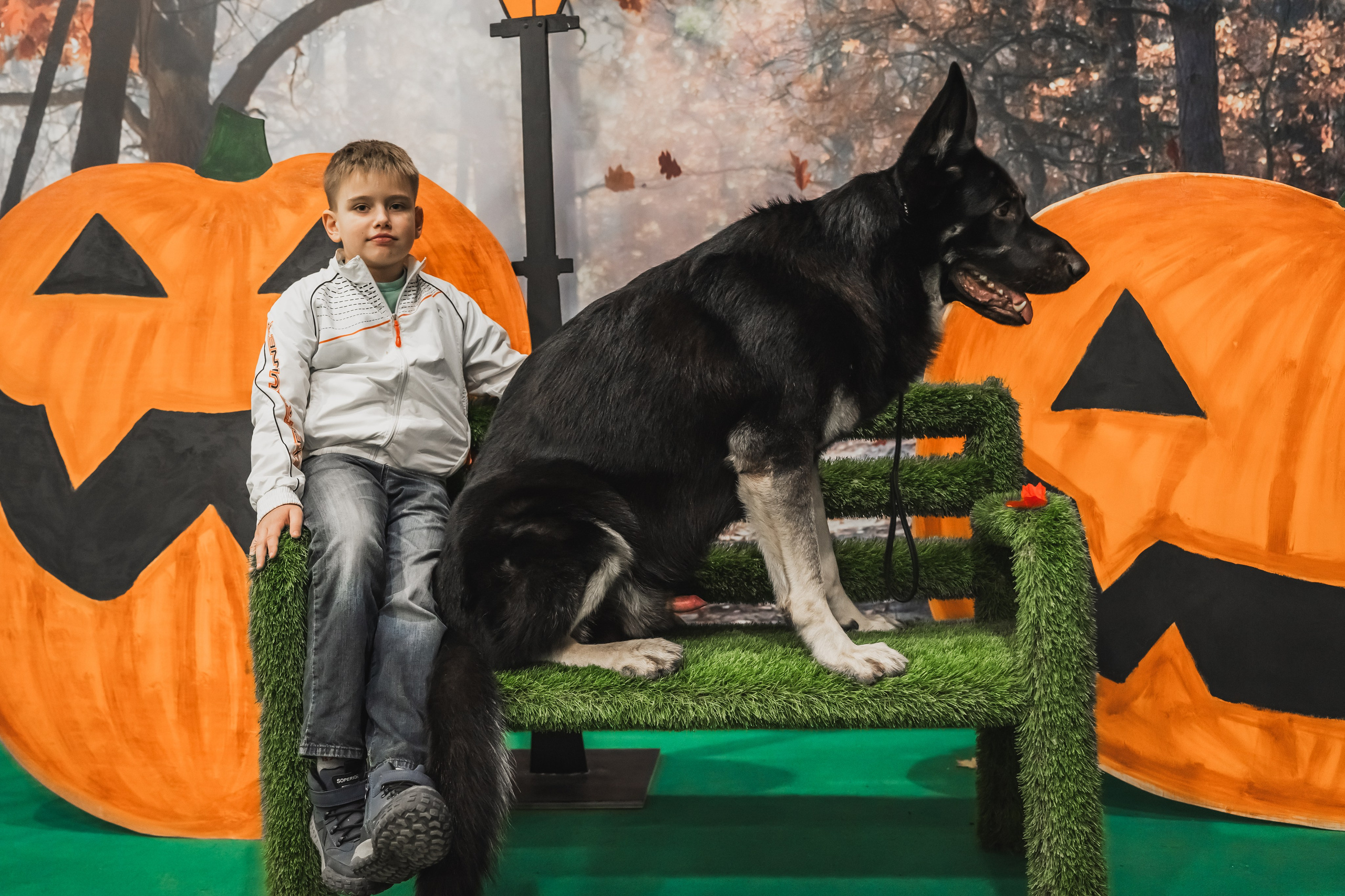 Международная выставка собак всех пород. Репортажный фотограф Анастасия Рубцова