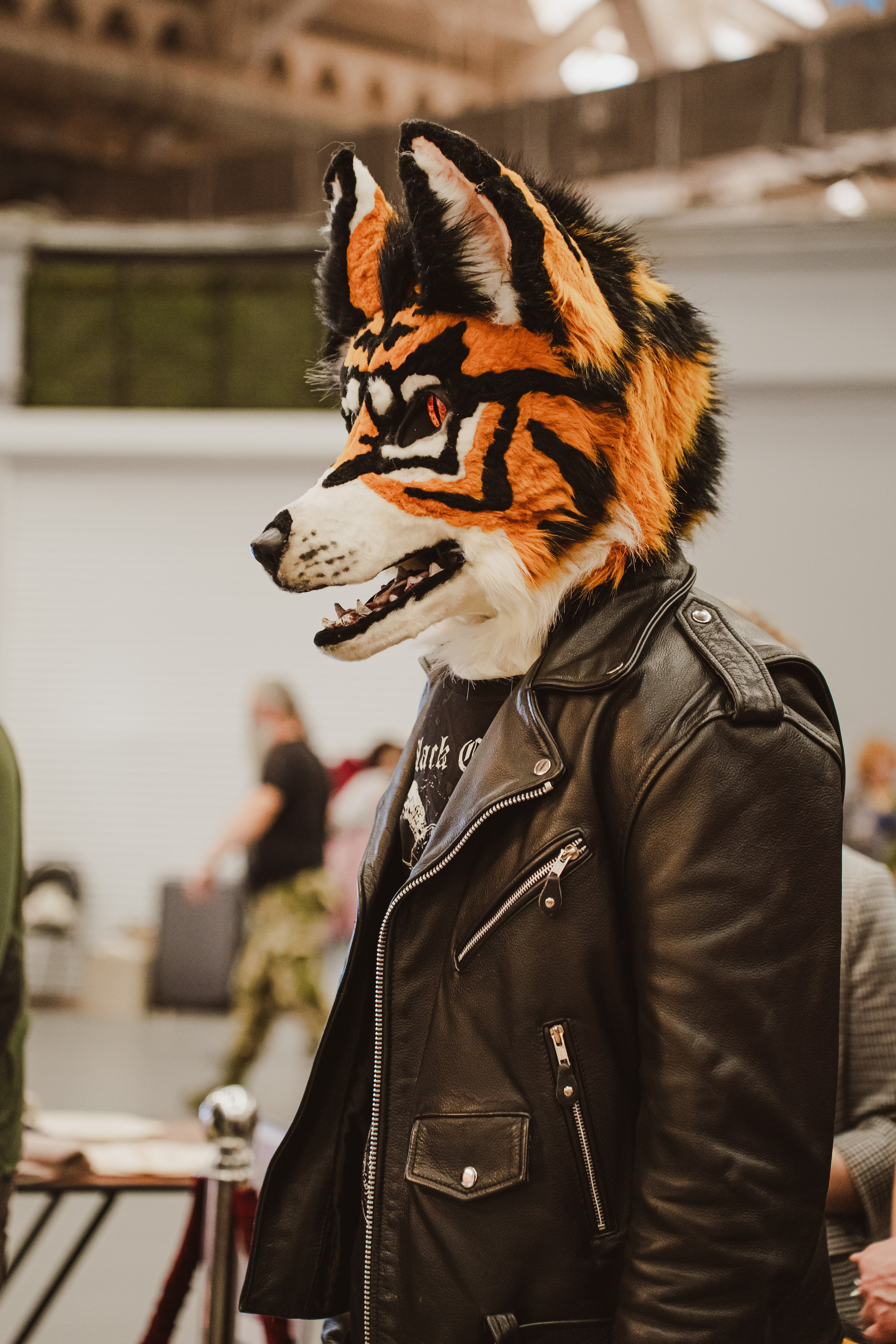 Fox Family fest. Репортажный фотограф Анастасия Рубцова