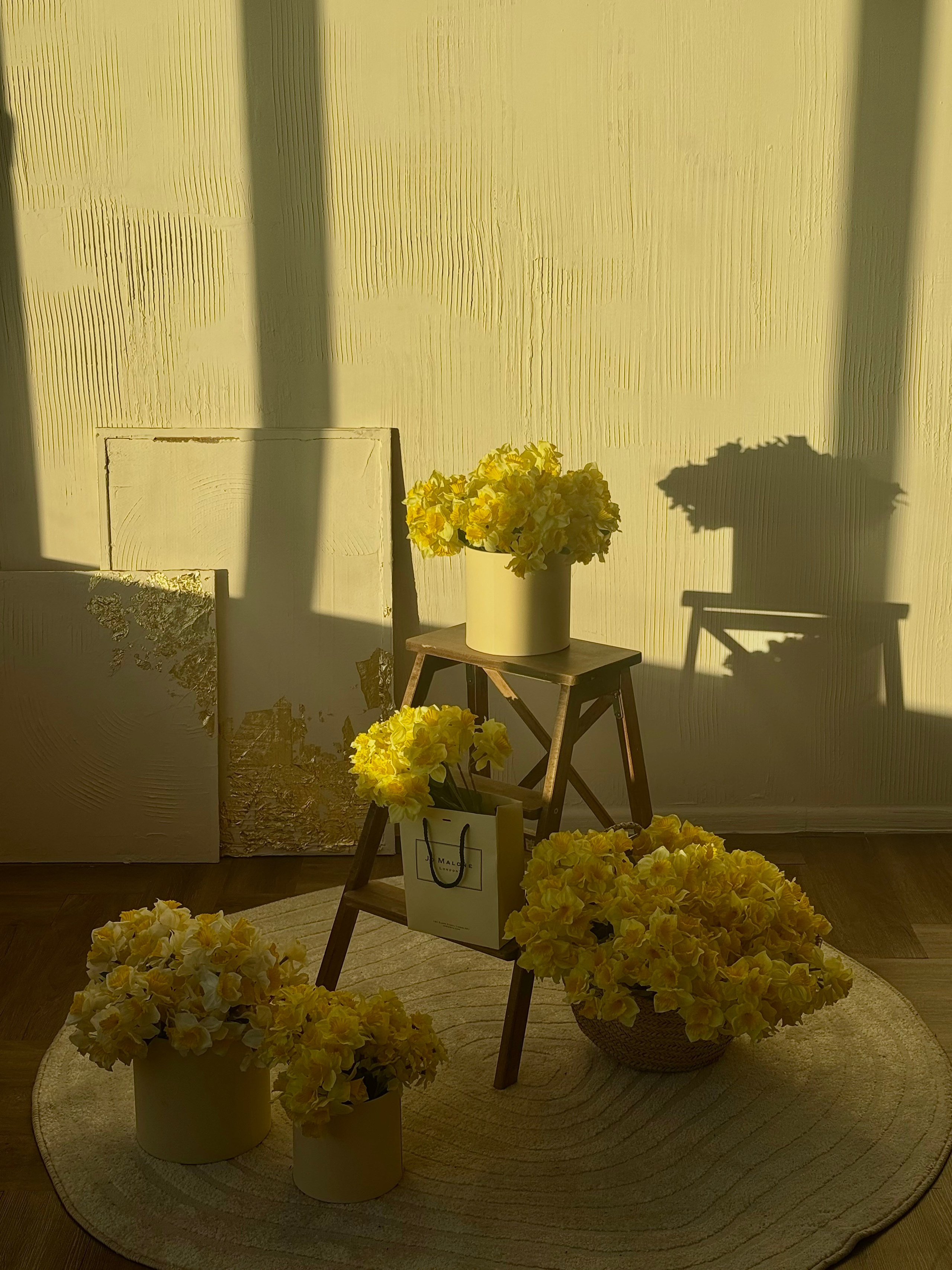 Тюльпаны. Фотограф НатаФото (Наталья Яковенко) Дмитров Москва Питер