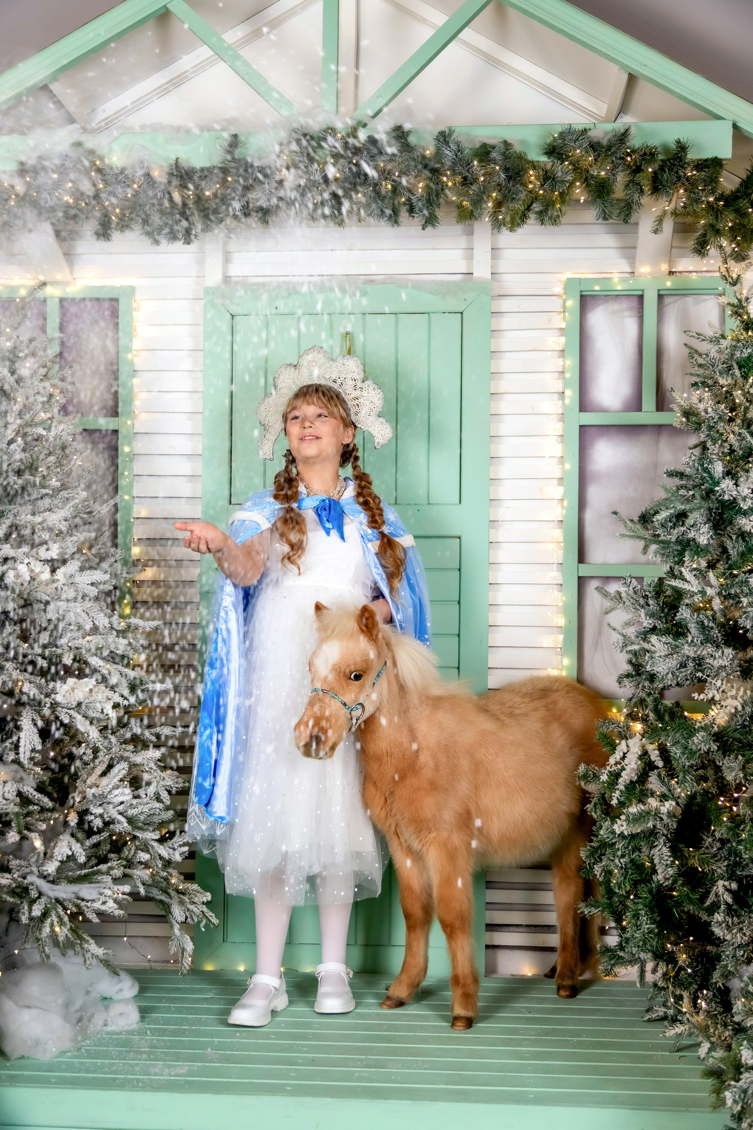 НОВЫЙ ГОД и Рождество в СТУДИЯХ. Фотограф Алина Лебедь