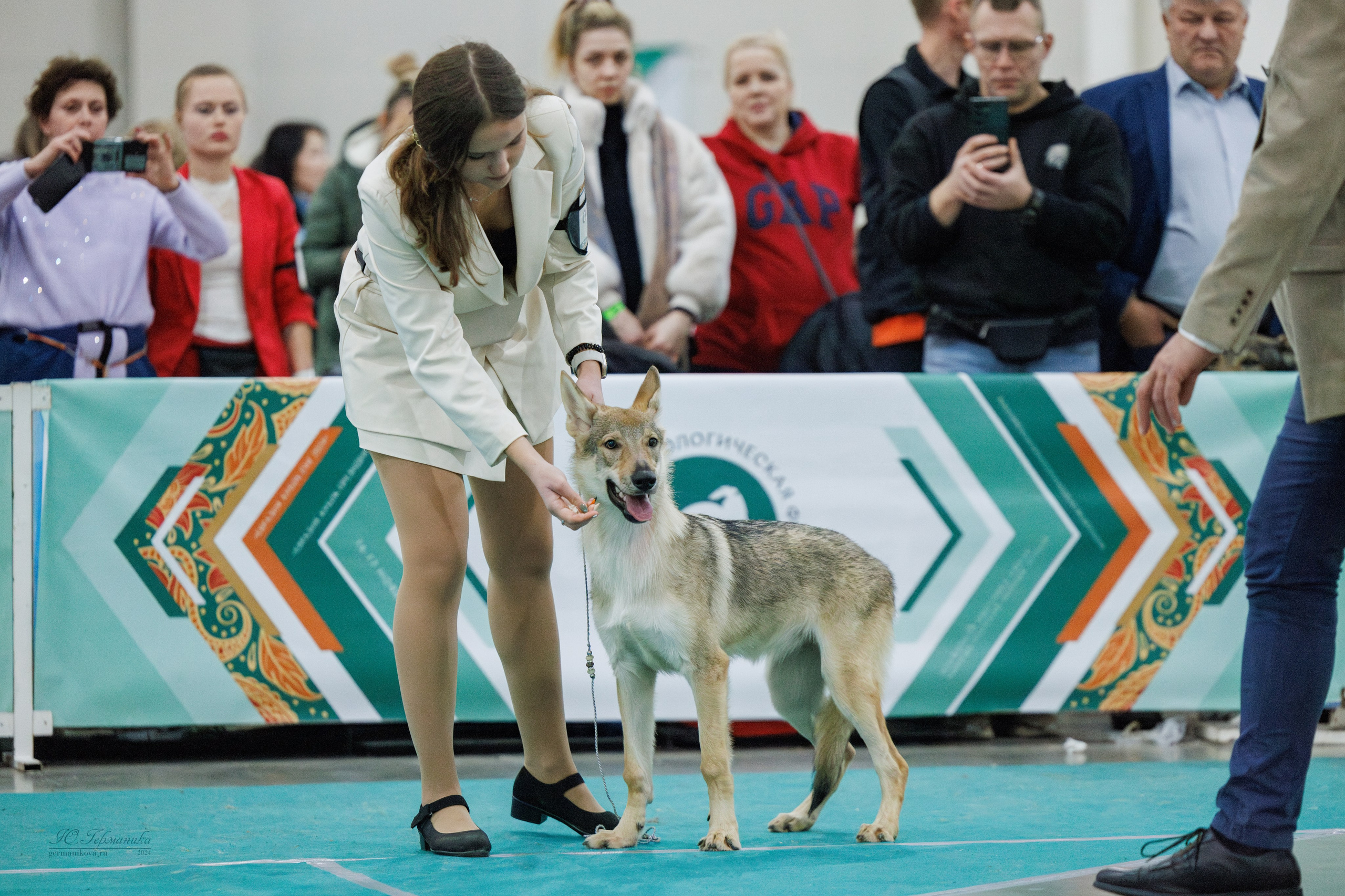 Евразия 16-17.11.2024. Фотограф-анималист Юлия Германика