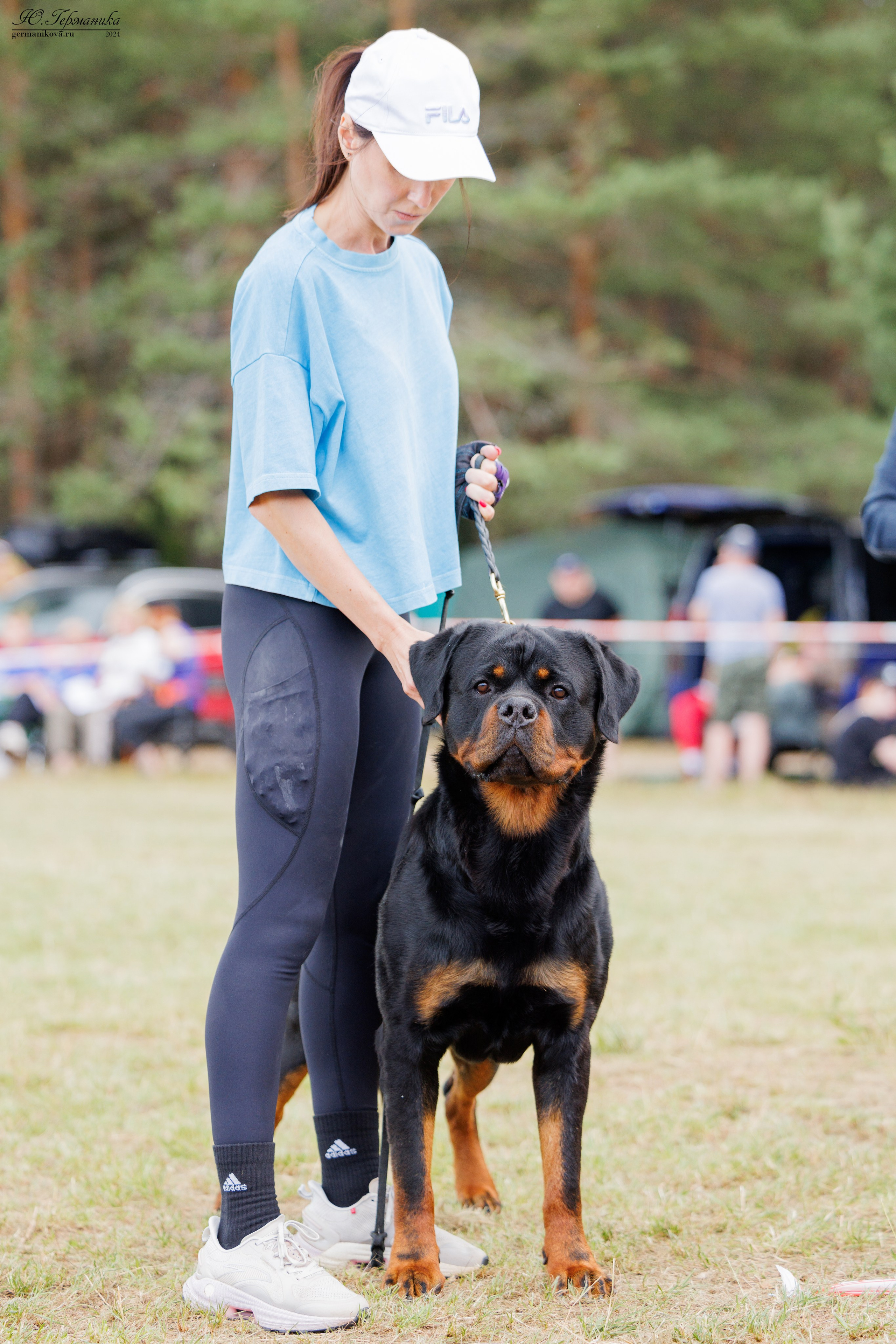 ПК и КЧК ротвейлеры Тверь 6-7.07.2024. Фотограф-анималист Юлия Германика
