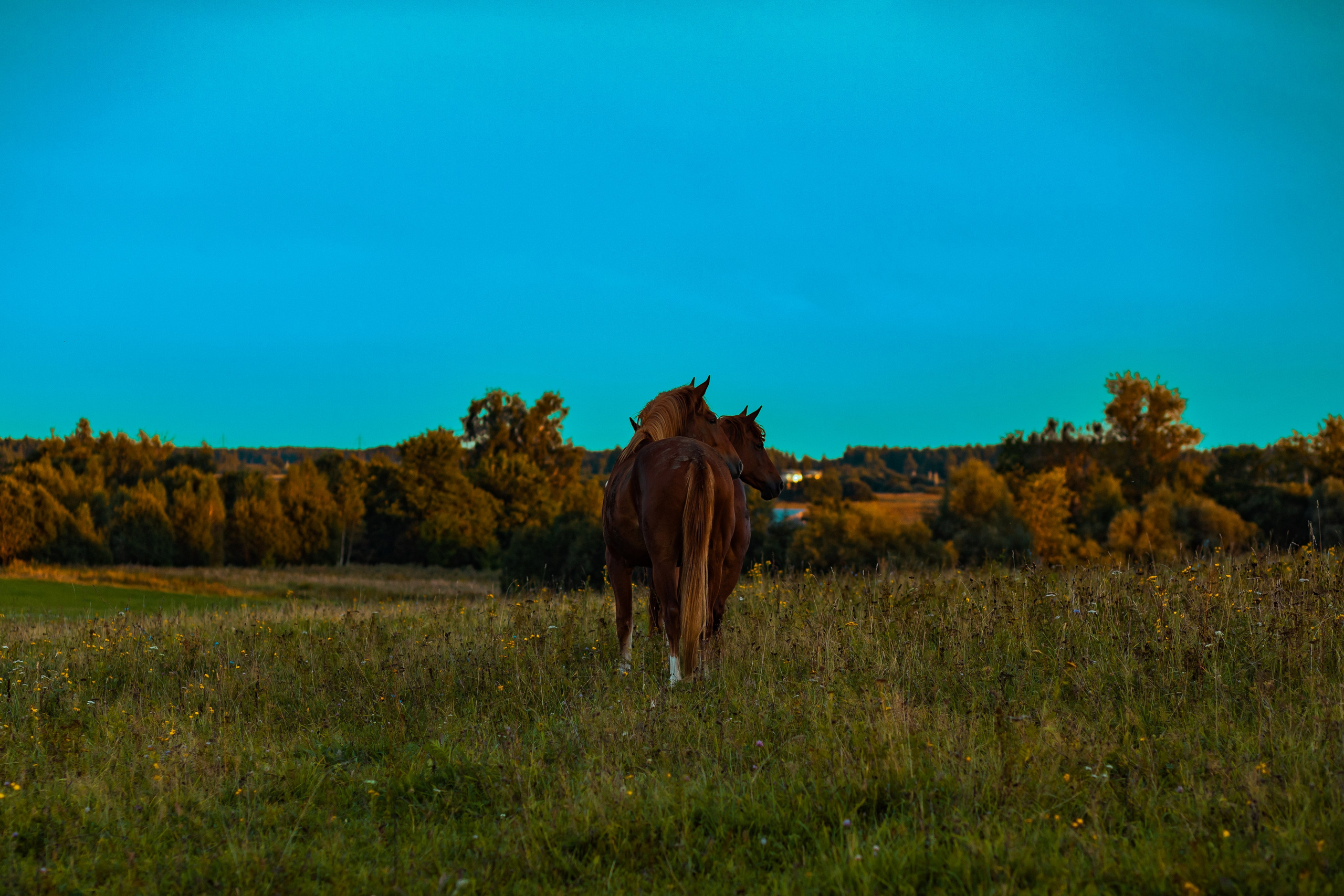 Деревня Мишнево | Калужская область. Папка кадров 📁