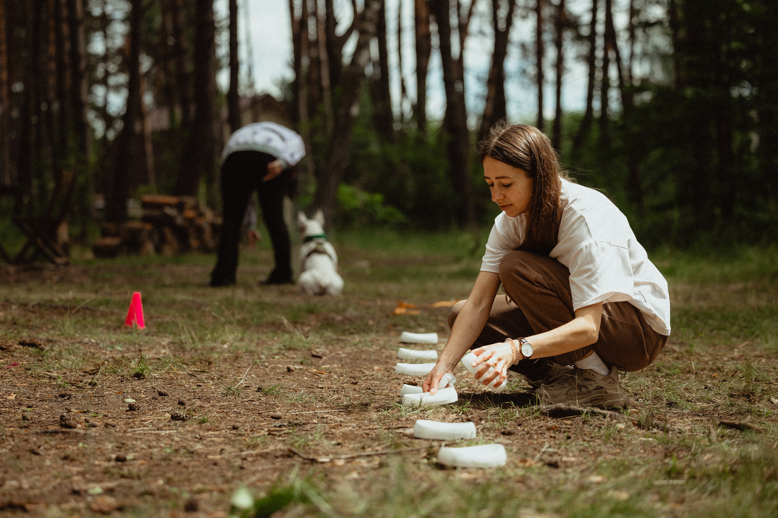 Выездной дог-тренинг от школы «Шерсть имею»