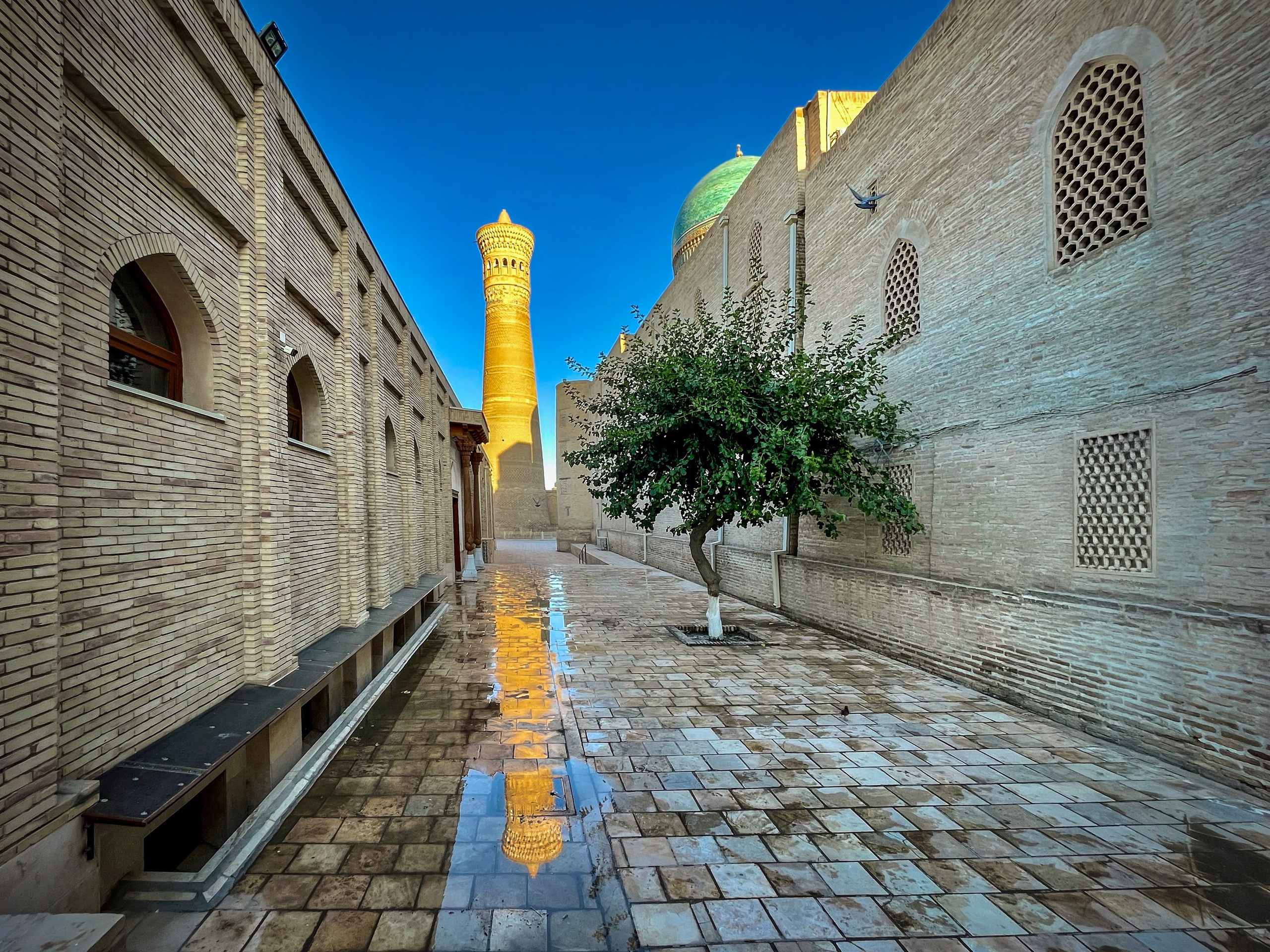 По Узбекистану. Фотограф Владимир Остапенко