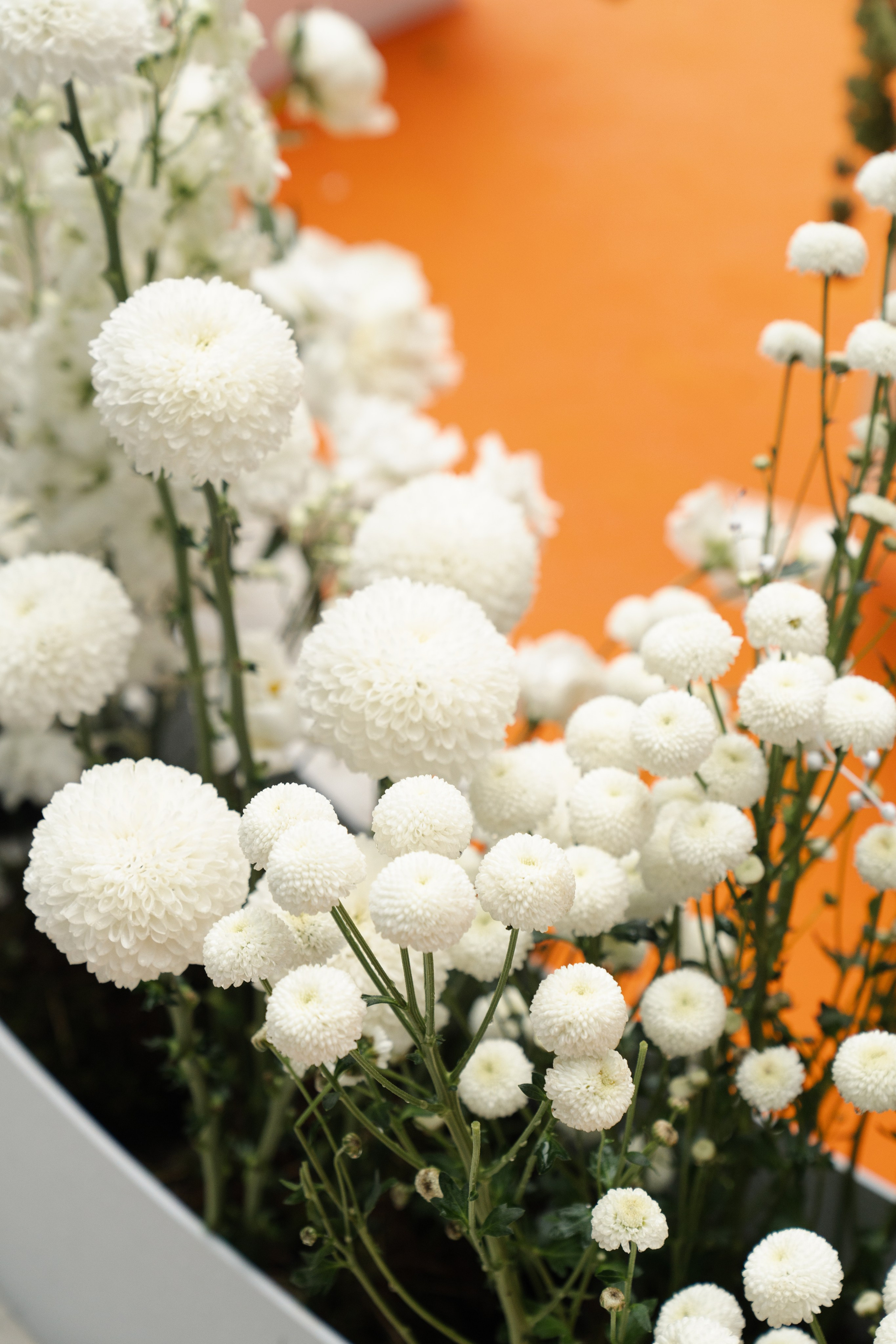 Оранжево-голубое слияние. VENSKAYA WEDDING & EVENT PLANNER