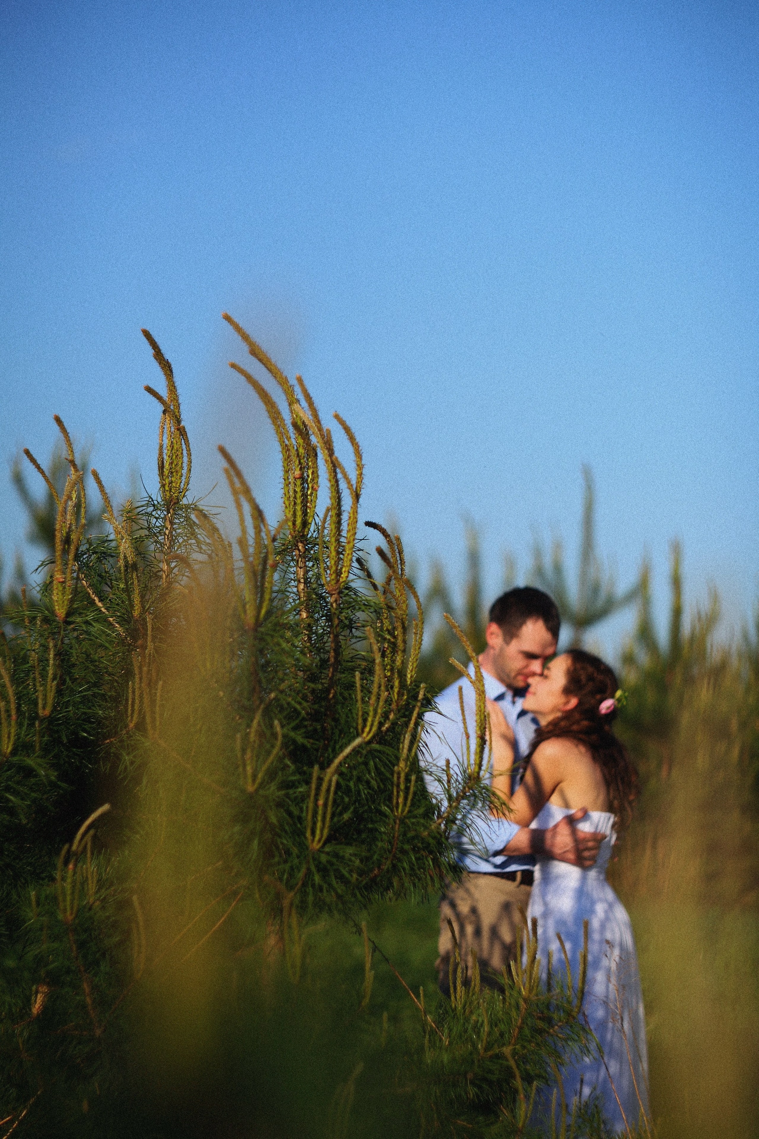 Душевная фотосессия пары в поле. Свадебный и репортажный фотограф в Ярославле и Санкт-Петербурге Роман Микрюков
