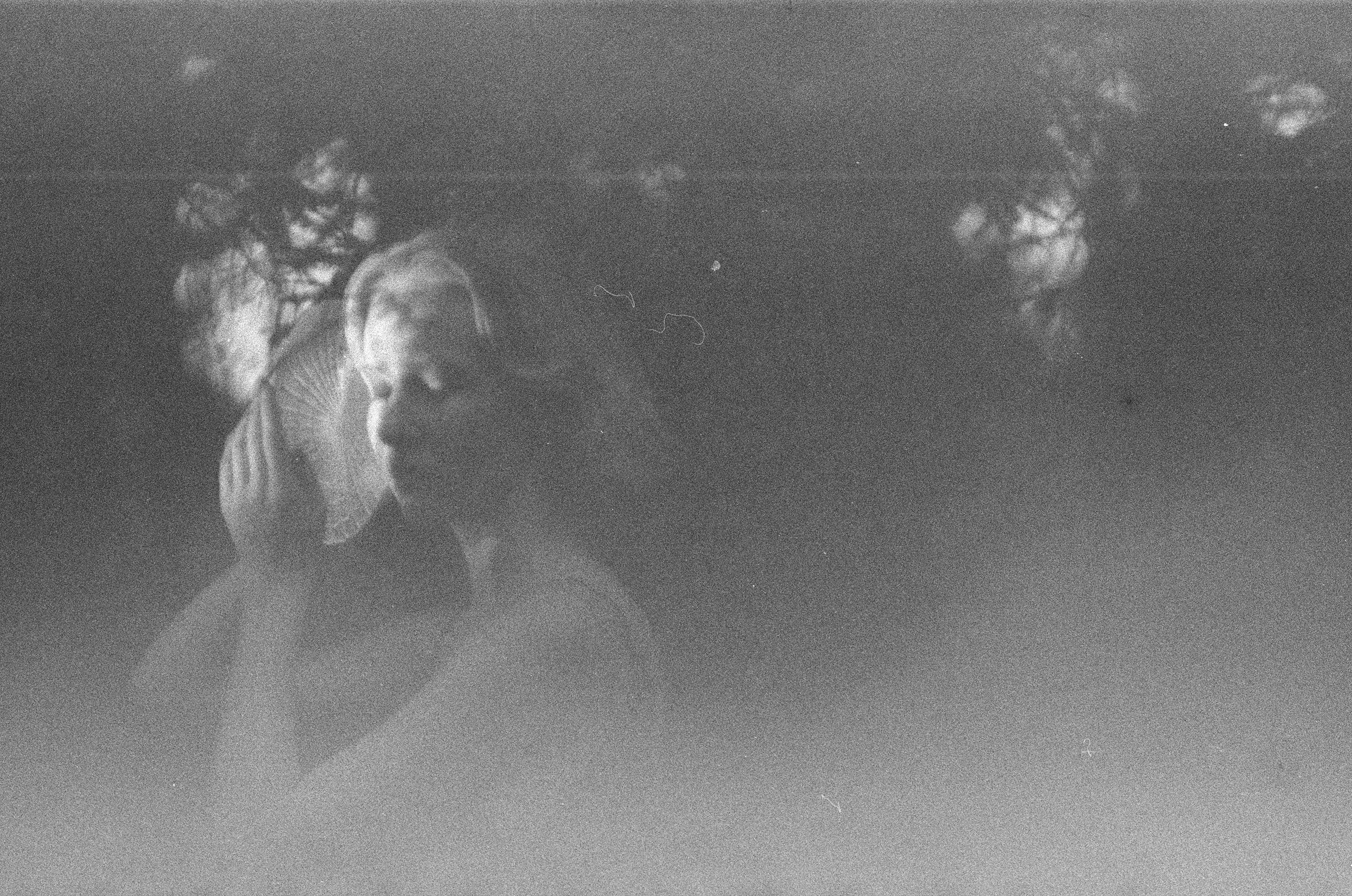 Настя. Творческий фотограф в Москве Наталья Ермолова