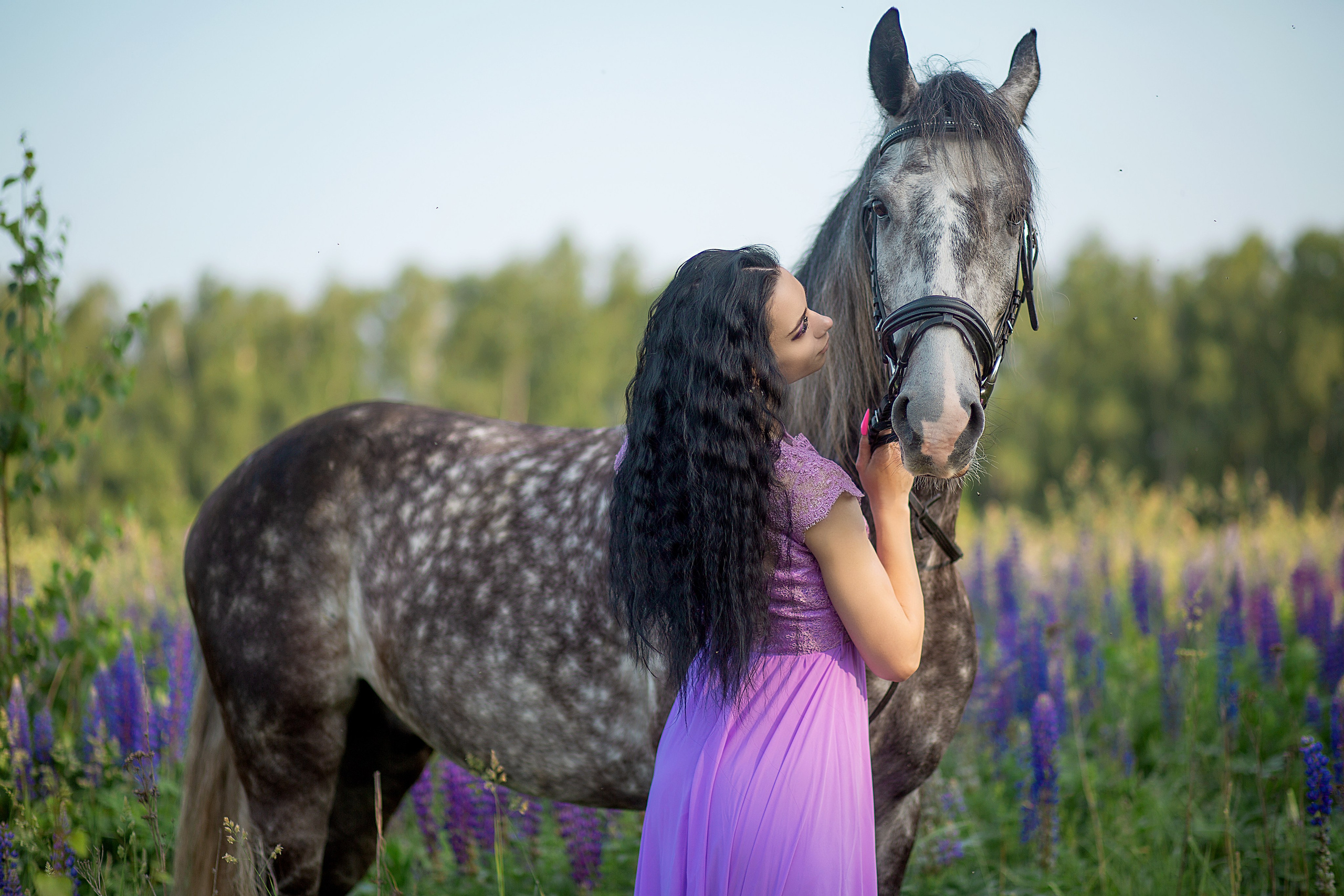Надежда и Пророк. Фотосессия с лошадьми в Нижнем Новгороде