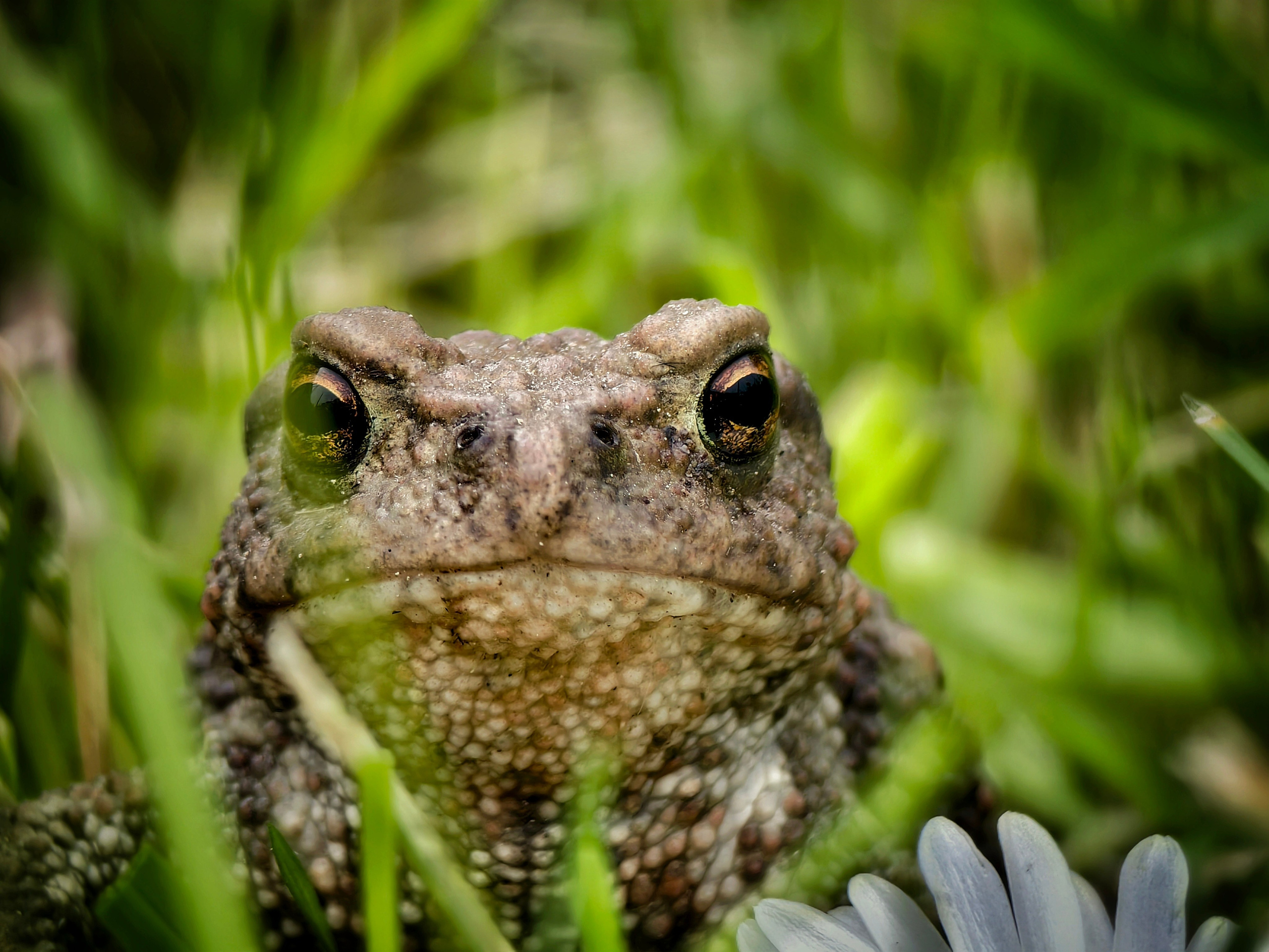 Большое в малом