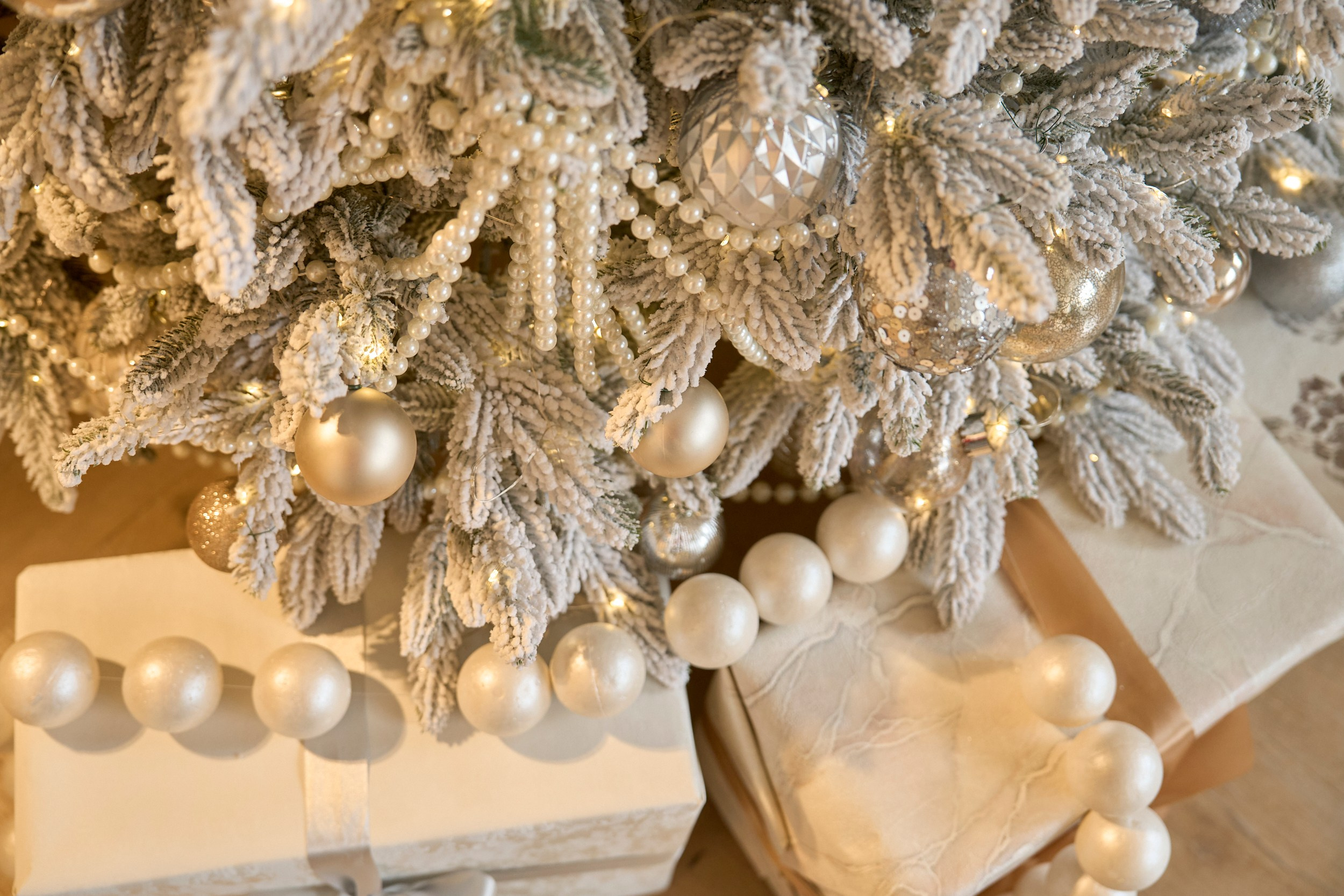 Париж (Paris). Фотограф г. Хабаровск. Семейные и индивидуальные съёмки