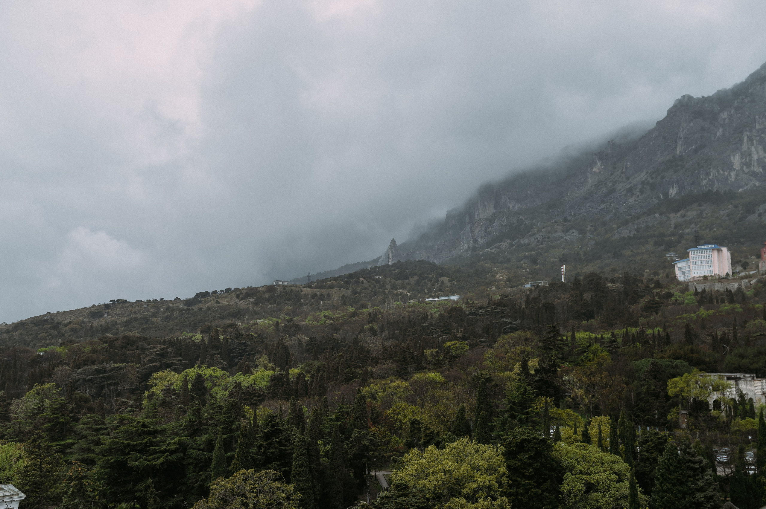 Свадебное утро и прогулка красивой яркой пары. Свадебный и семейный фотограф в Симферополе Дарья Маркова