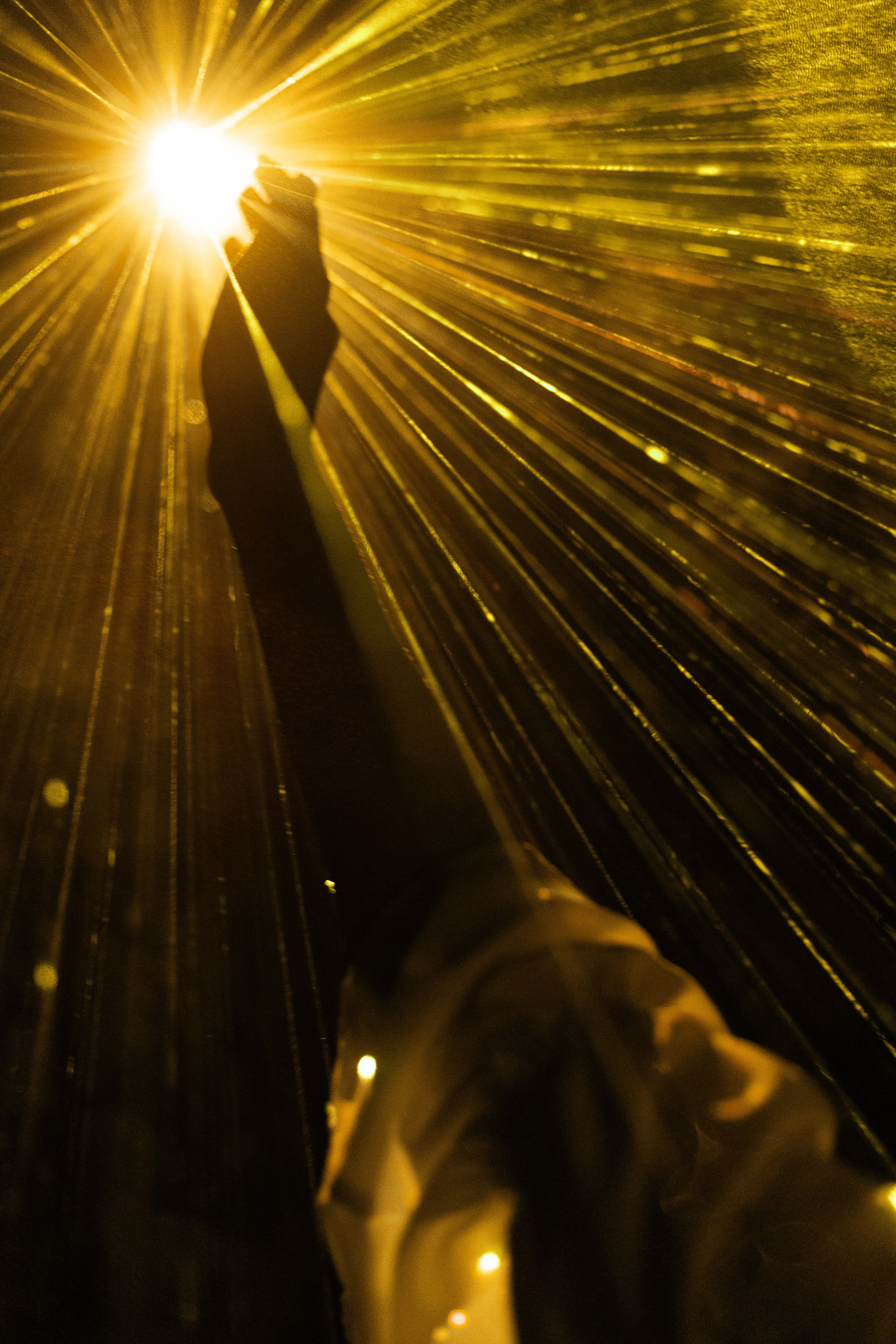 Эвика. Лучи. Портфолио