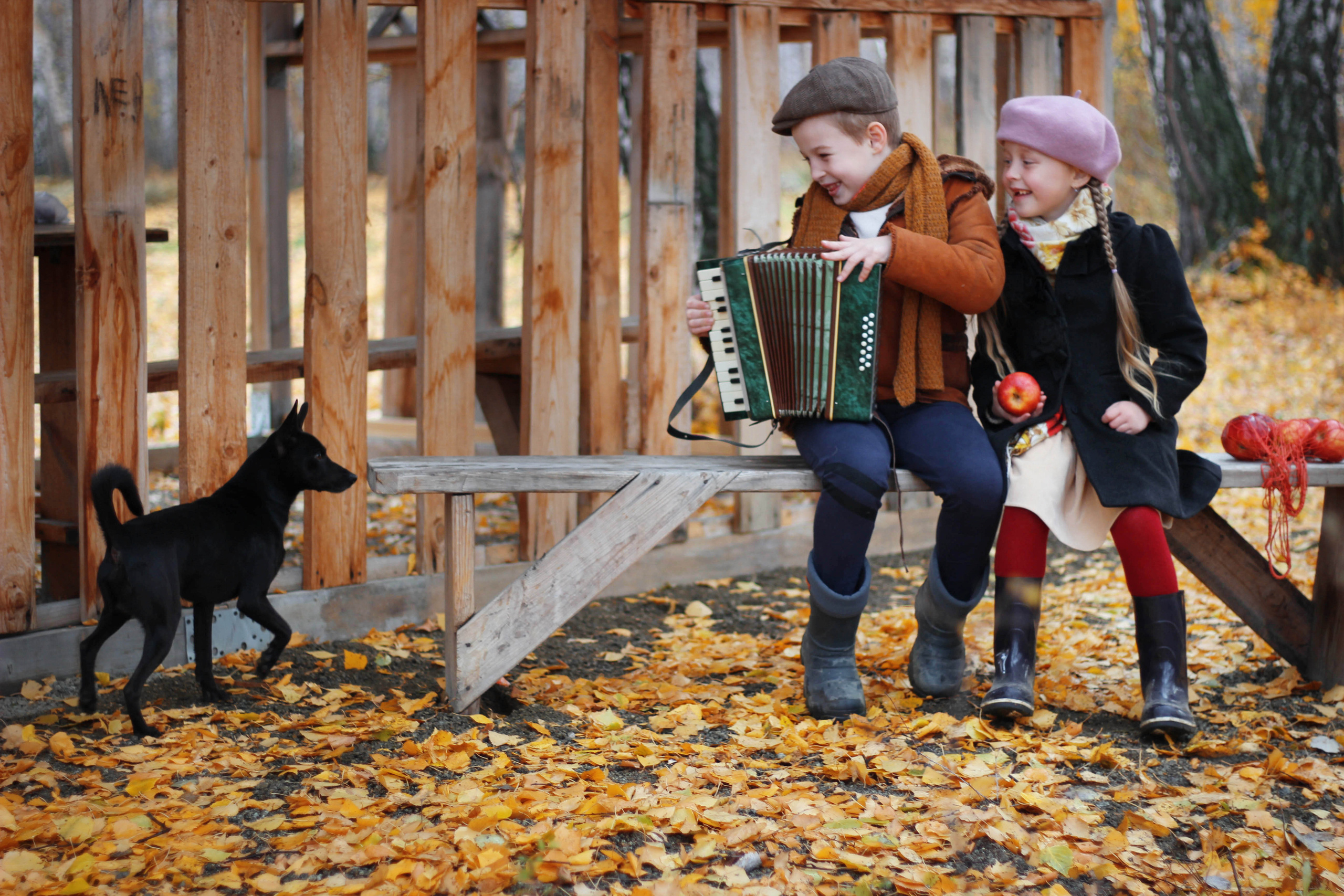 Гармонист история. Детский и семейный фотограф в Челябинске Логинова Валерия