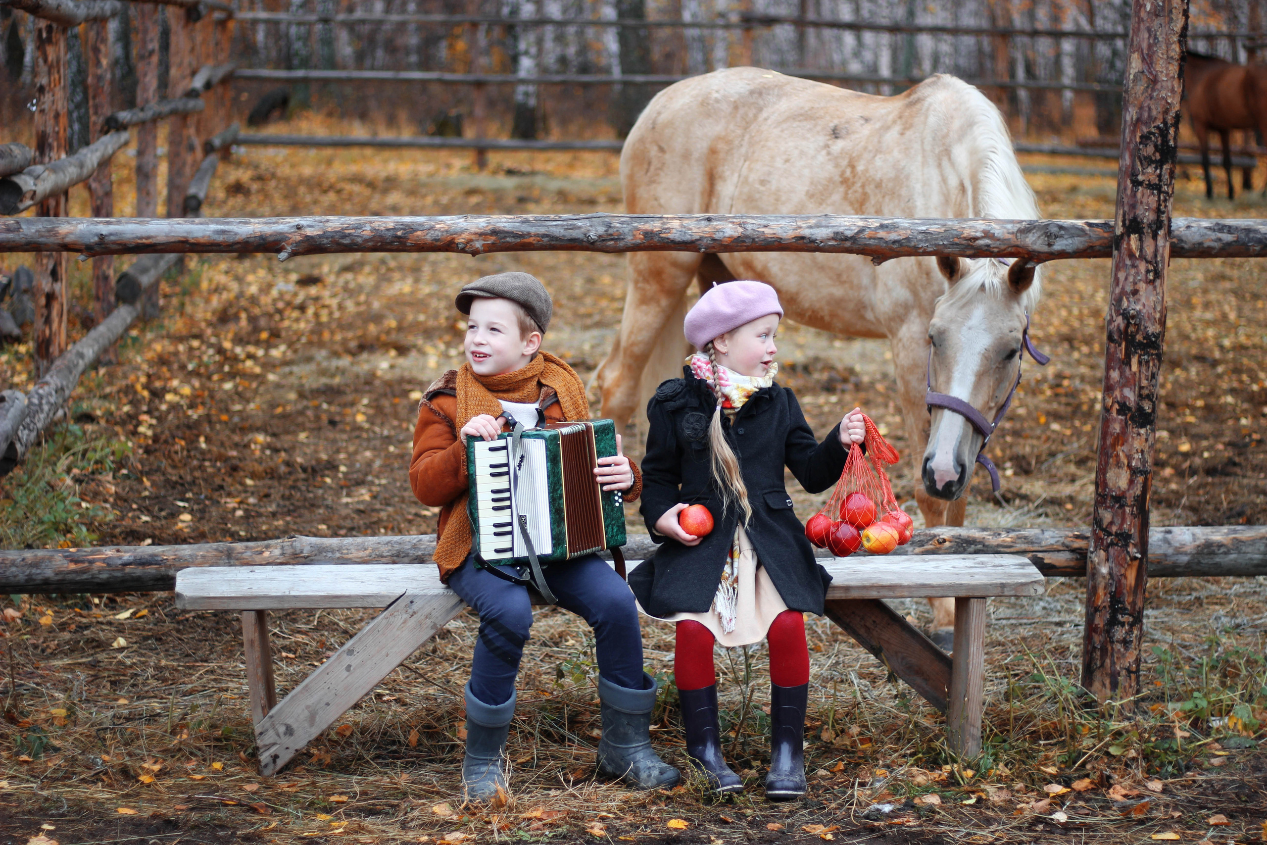 Гармонист история. Детский и семейный фотограф в Челябинске Логинова Валерия