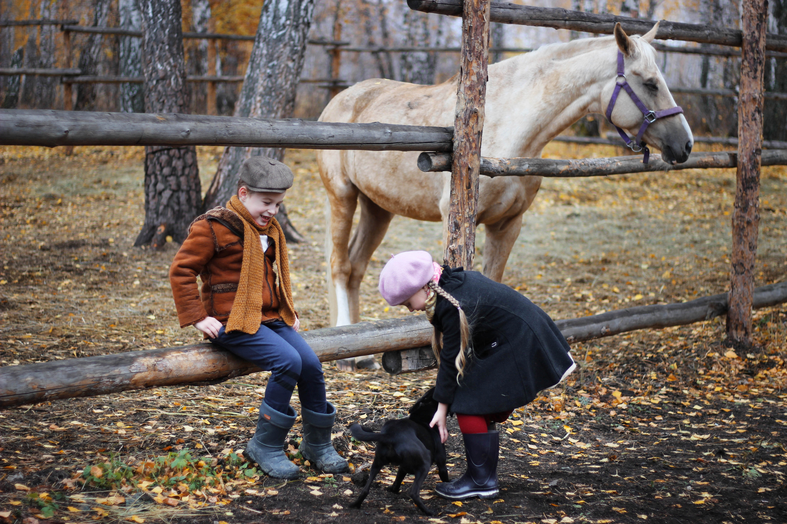 Гармонист история. Детский и семейный фотограф в Челябинске Логинова Валерия