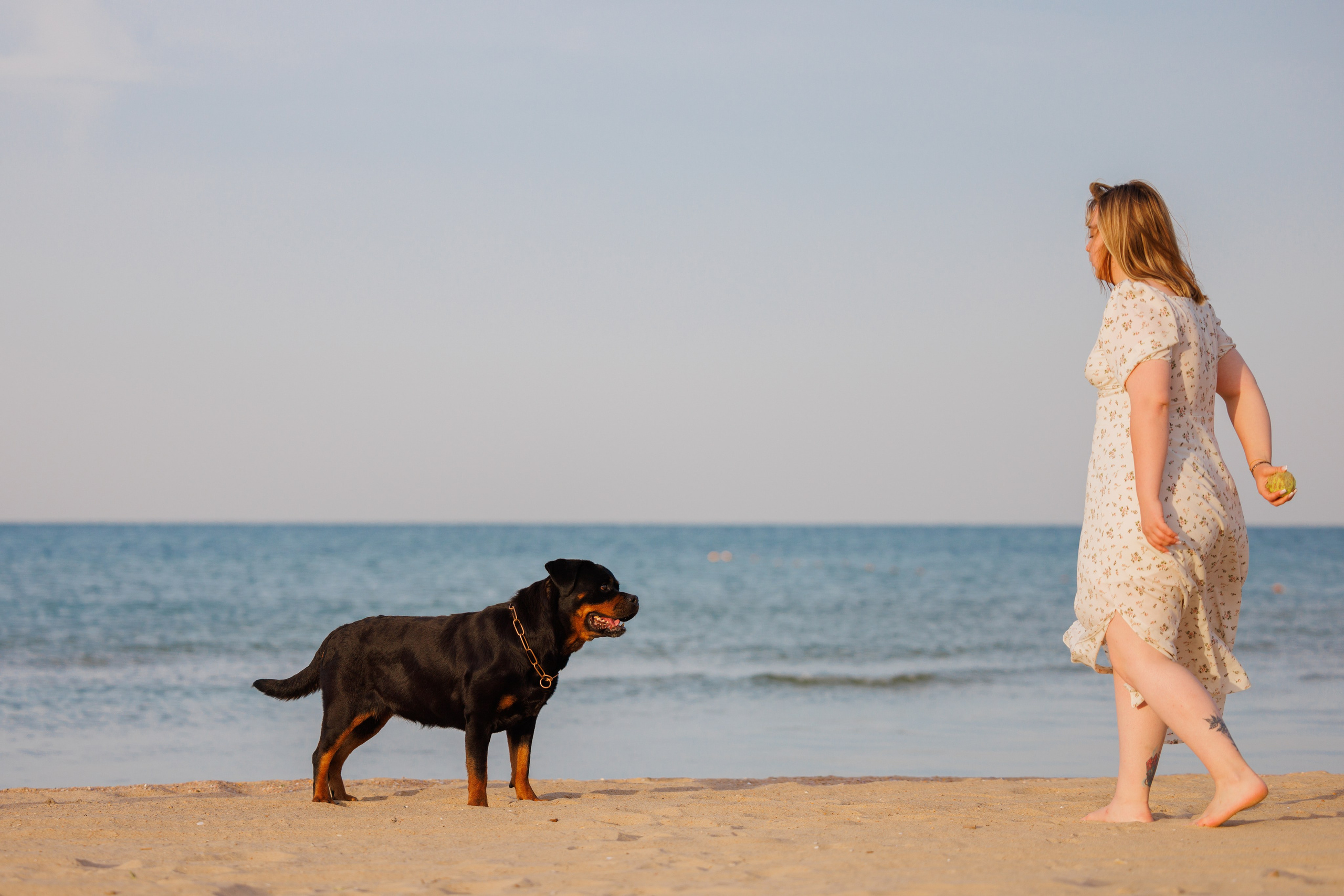 Свободная съемка. Фотограф-анималист Юлия Германика