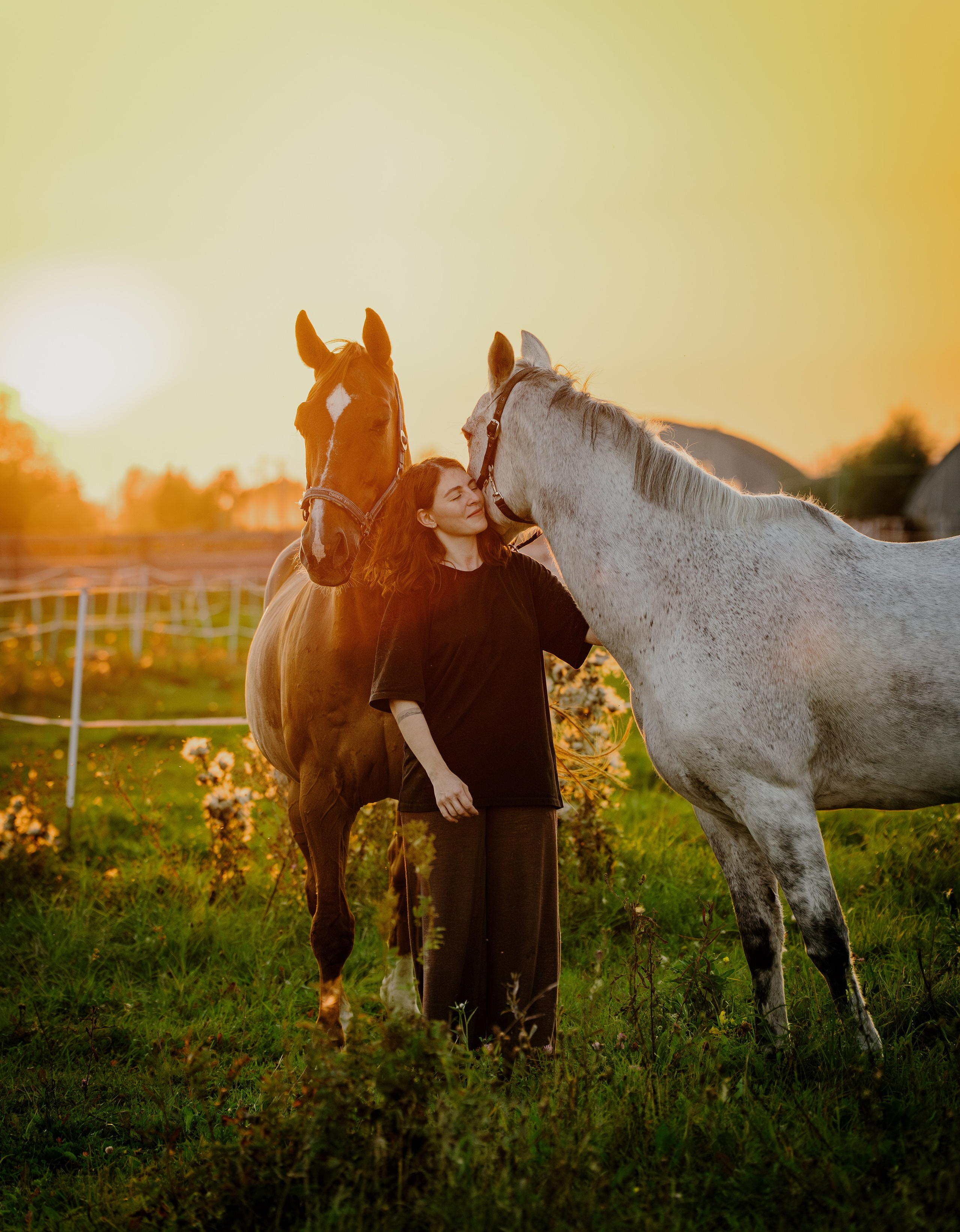 Animals. Arseny Sapelkin