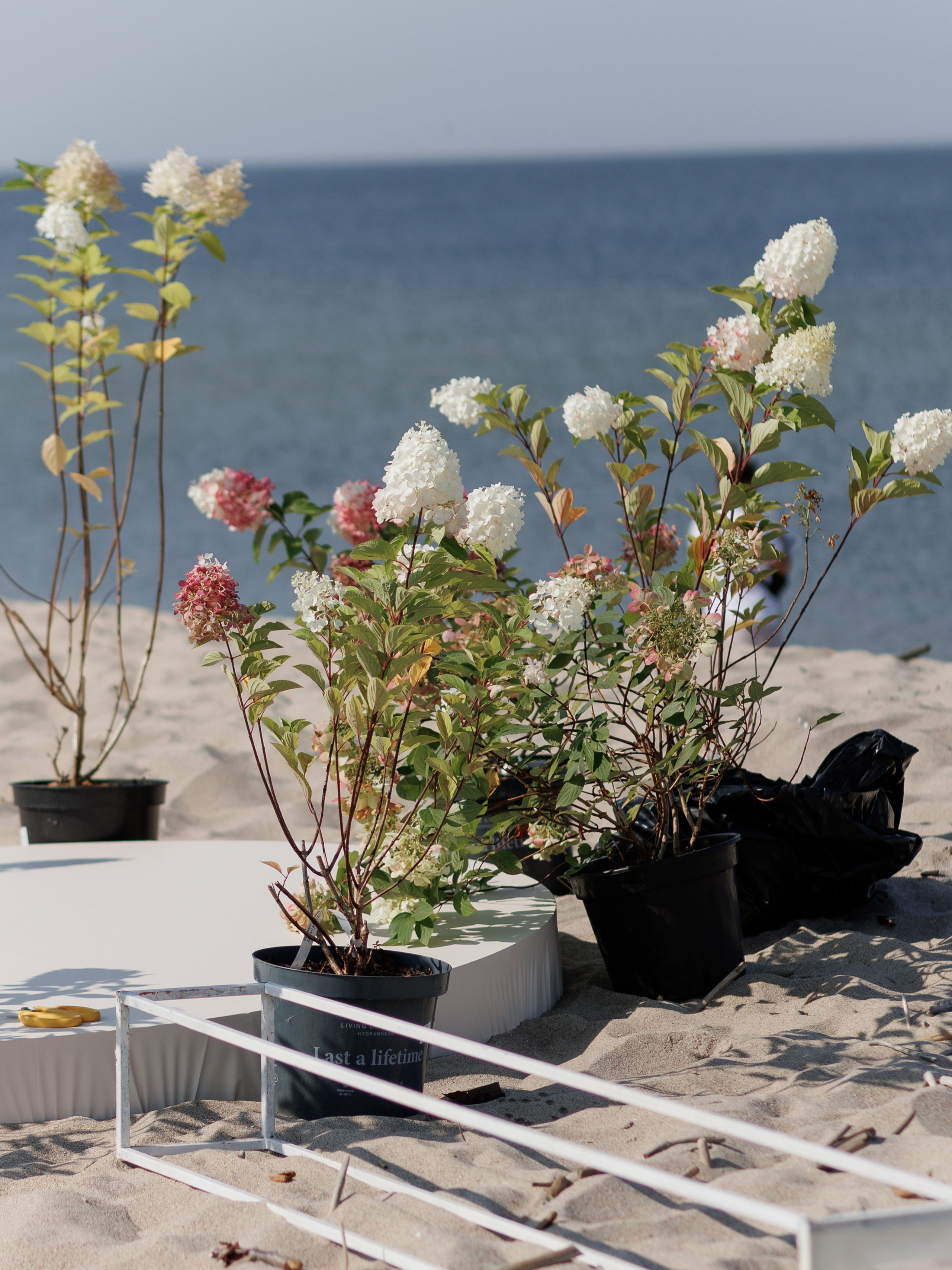 Бэкстейдж для агентства «Art de vivre». Свадебный и семейный фотограф в Калининграде Ольга Мешечкова