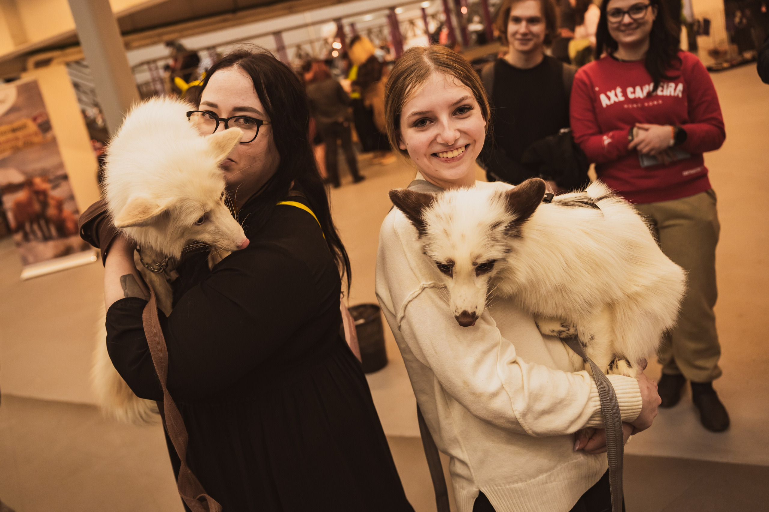 Fox Family fest. Репортажный фотограф Анастасия Рубцова