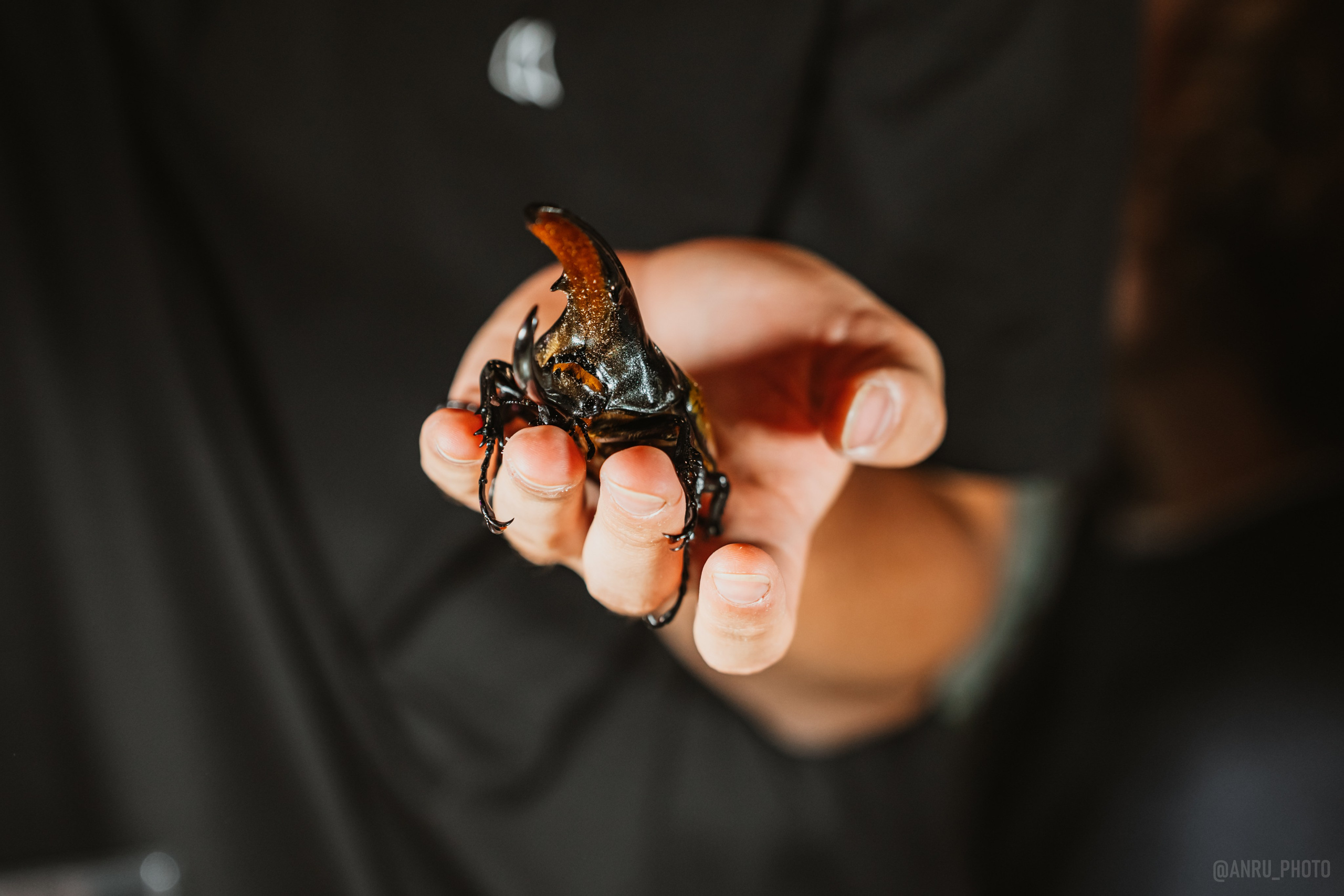 Рептилиум. Репортажный фотограф Анастасия Рубцова