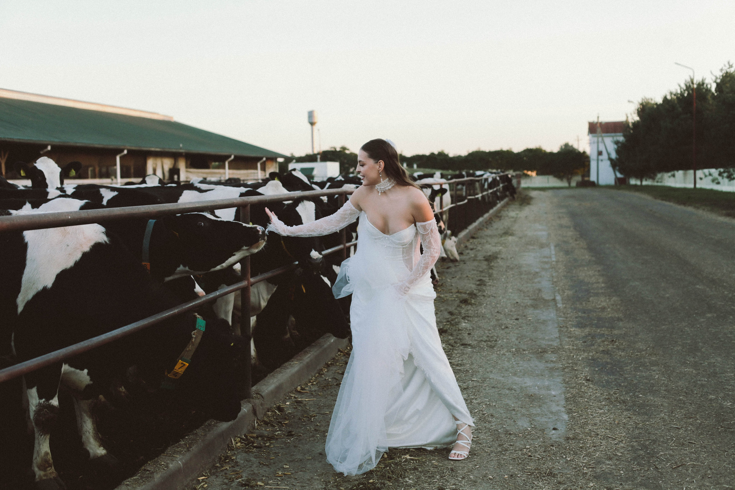 Свадебные прогулки