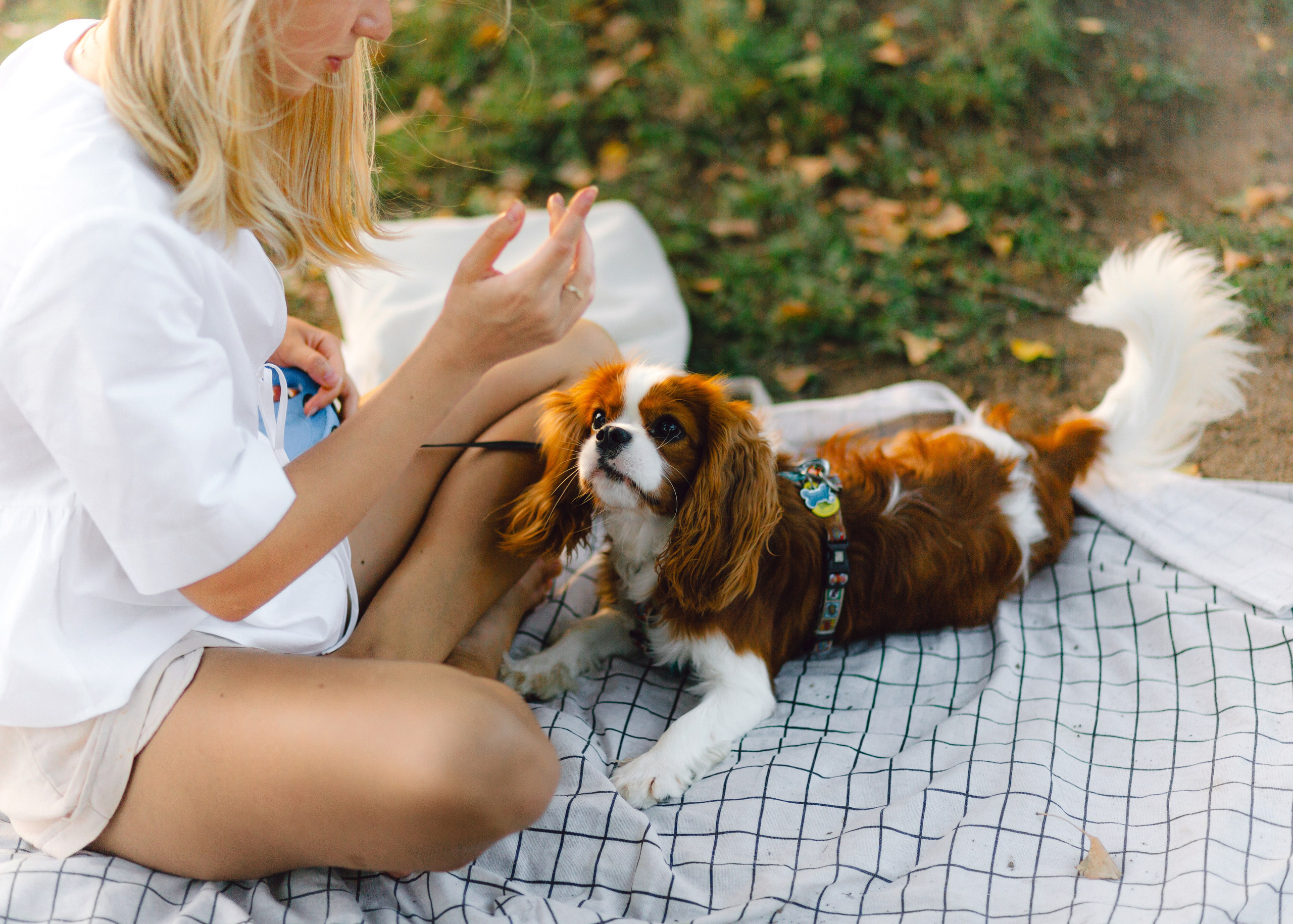 Ksenya & Her Loyal Jam. Barbara Isaeva